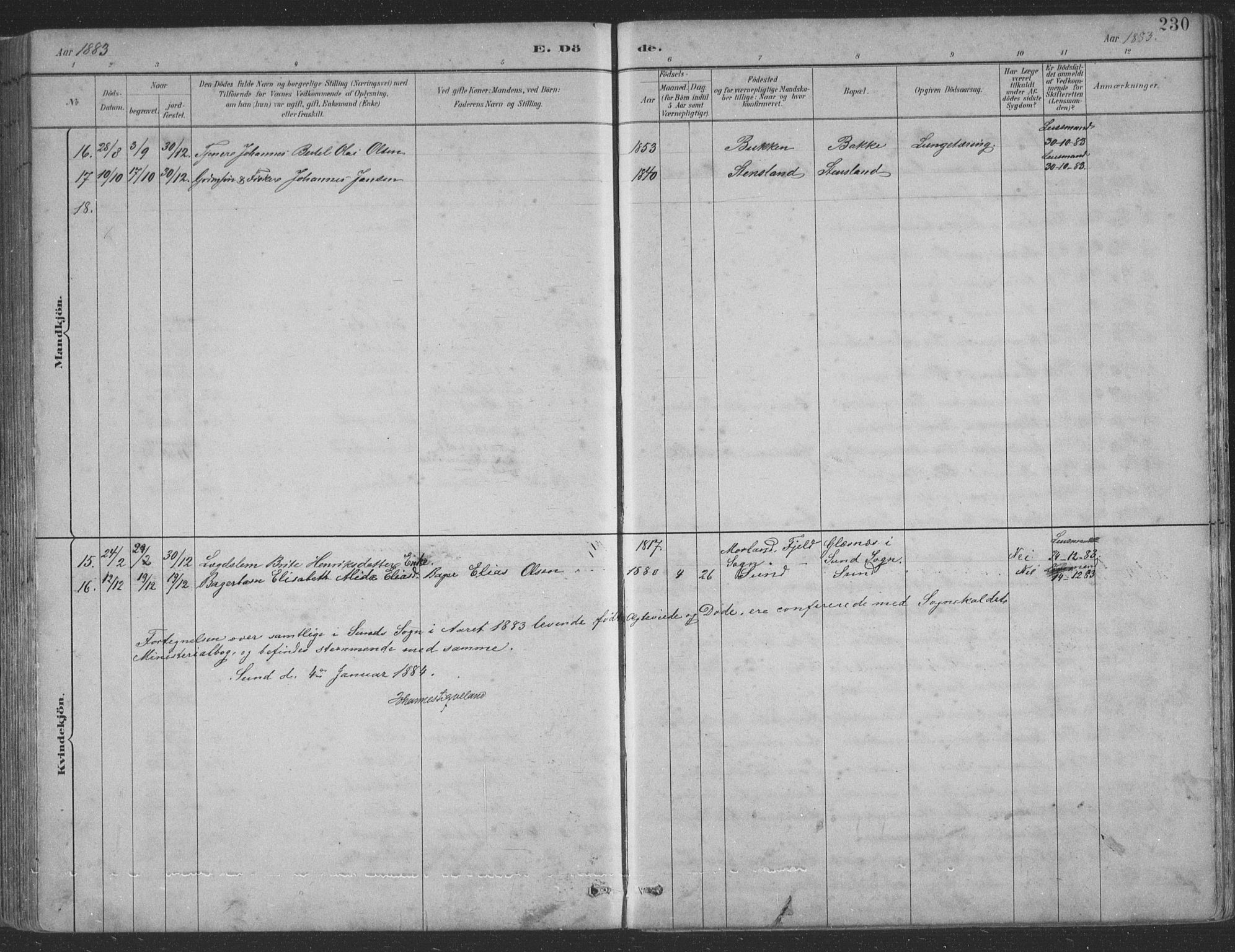 Sund sokneprestembete, AV/SAB-A-99930: Parish register (copy) no. B 3, 1882-1911, p. 230