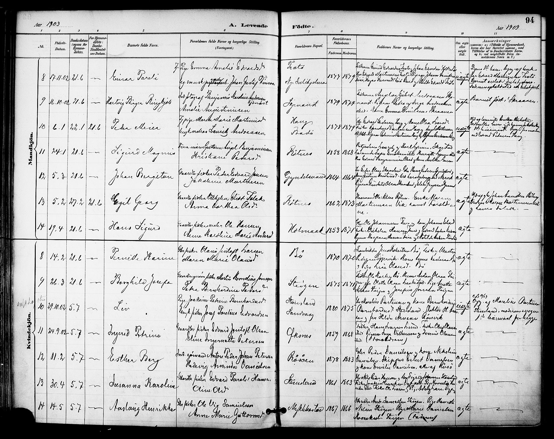 Ministerialprotokoller, klokkerbøker og fødselsregistre - Nordland, SAT/A-1459/855/L0803: Parish register (official) no. 855A11, 1887-1905, p. 94