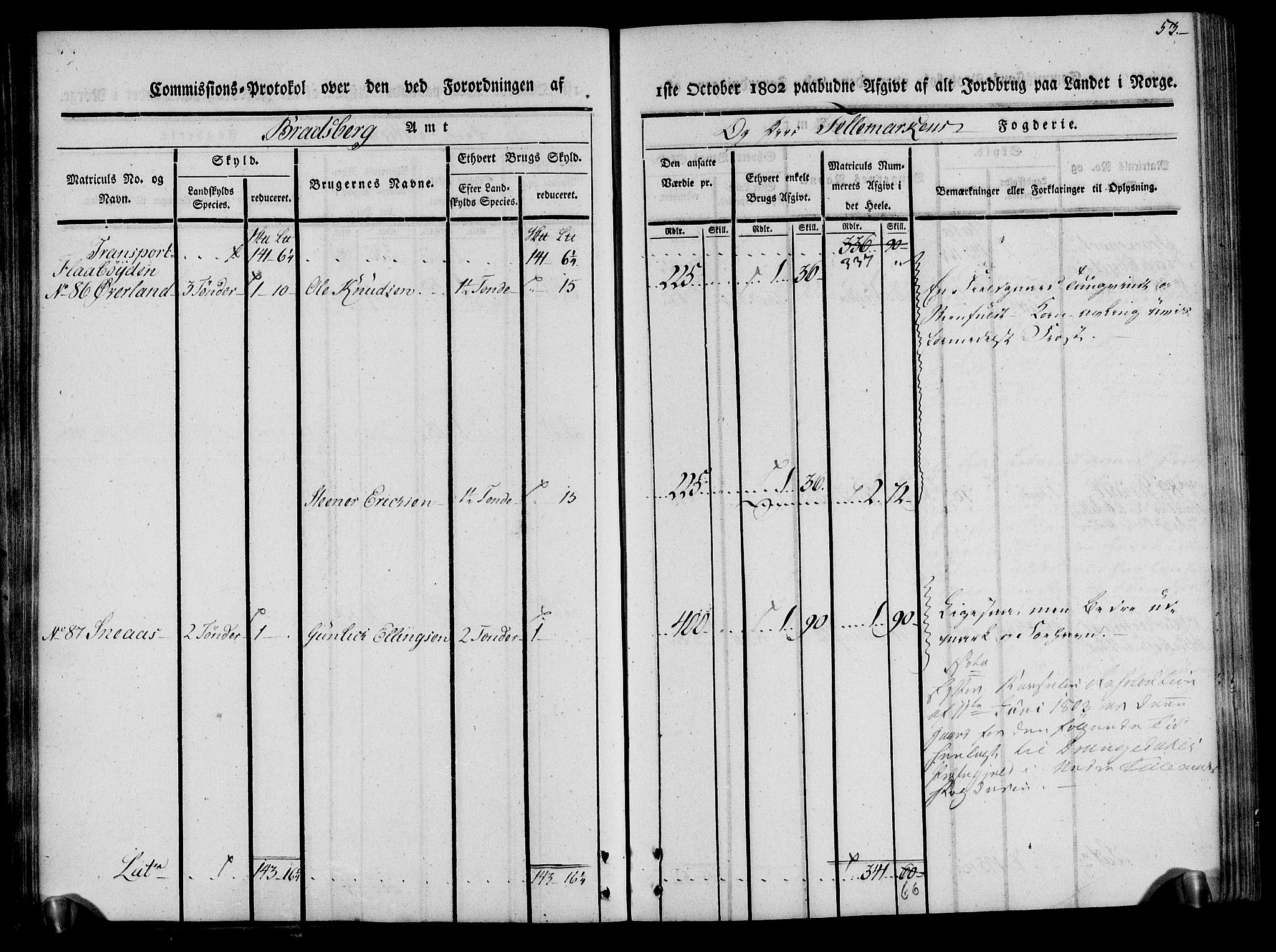 Rentekammeret inntil 1814, Realistisk ordnet avdeling, AV/RA-EA-4070/N/Ne/Nea/L0075: Øvre Telemarken fogderi. Kommisjonsprotokoll for fogderiets vestre del - Kviteseid, Vinje, Moland [):Fyresdal] og Lårdal prestegjeld., 1803, p. 53