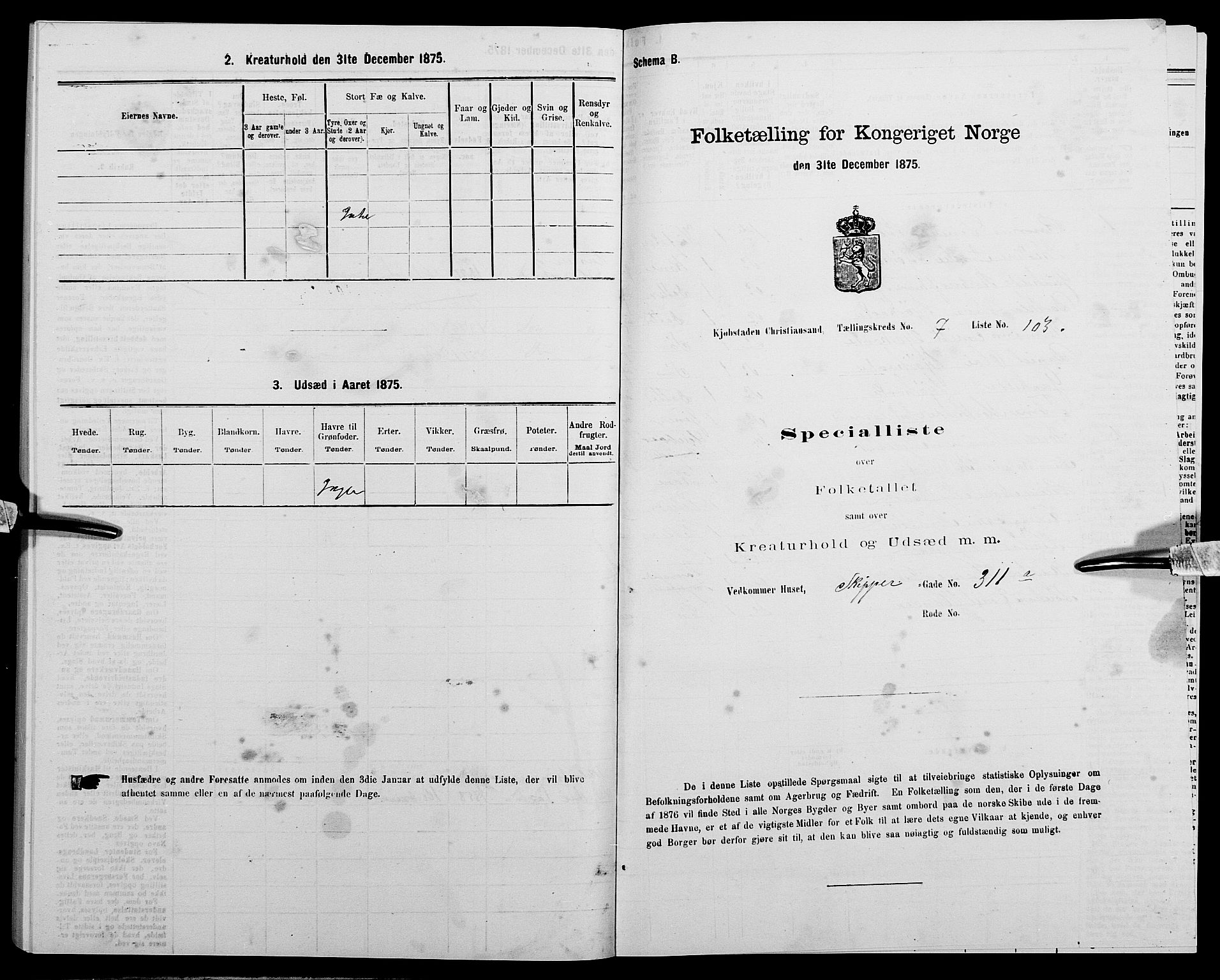 SAK, 1875 census for 1001P Kristiansand, 1875, p. 1209