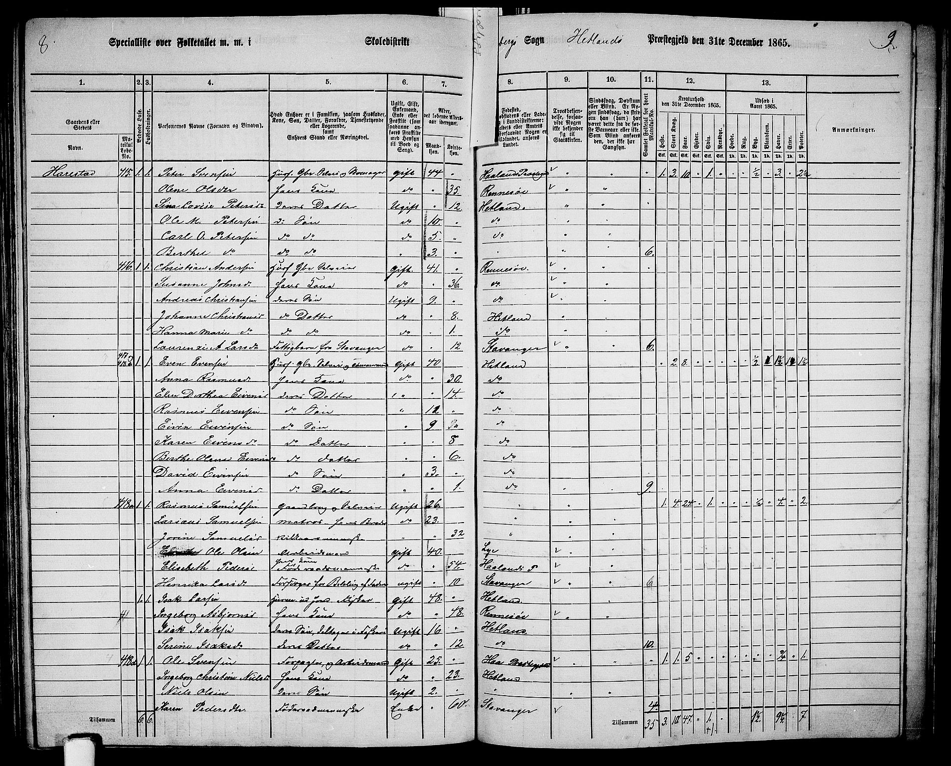 RA, 1865 census for Hetland, 1865, p. 190