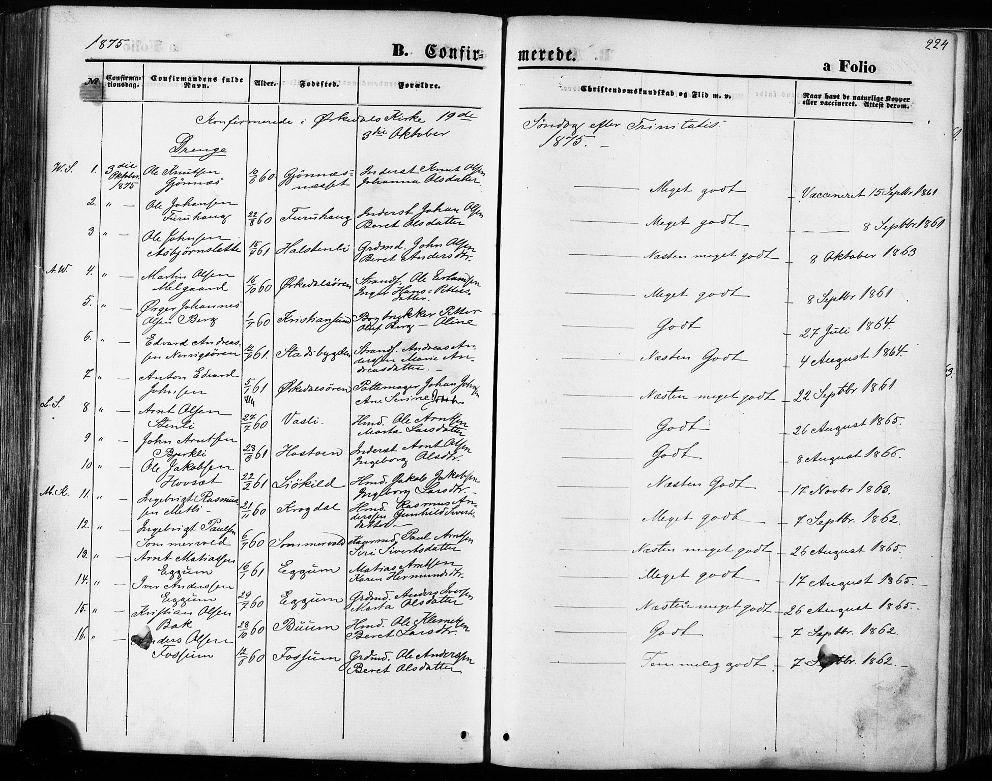 Ministerialprotokoller, klokkerbøker og fødselsregistre - Sør-Trøndelag, SAT/A-1456/668/L0807: Parish register (official) no. 668A07, 1870-1880, p. 224