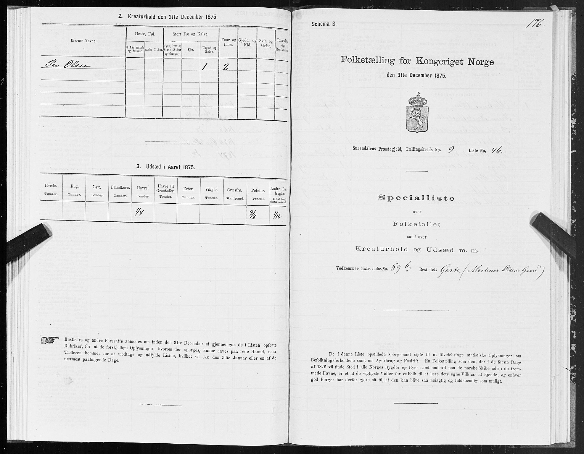 SAT, 1875 census for 1566P Surnadal, 1875, p. 4176