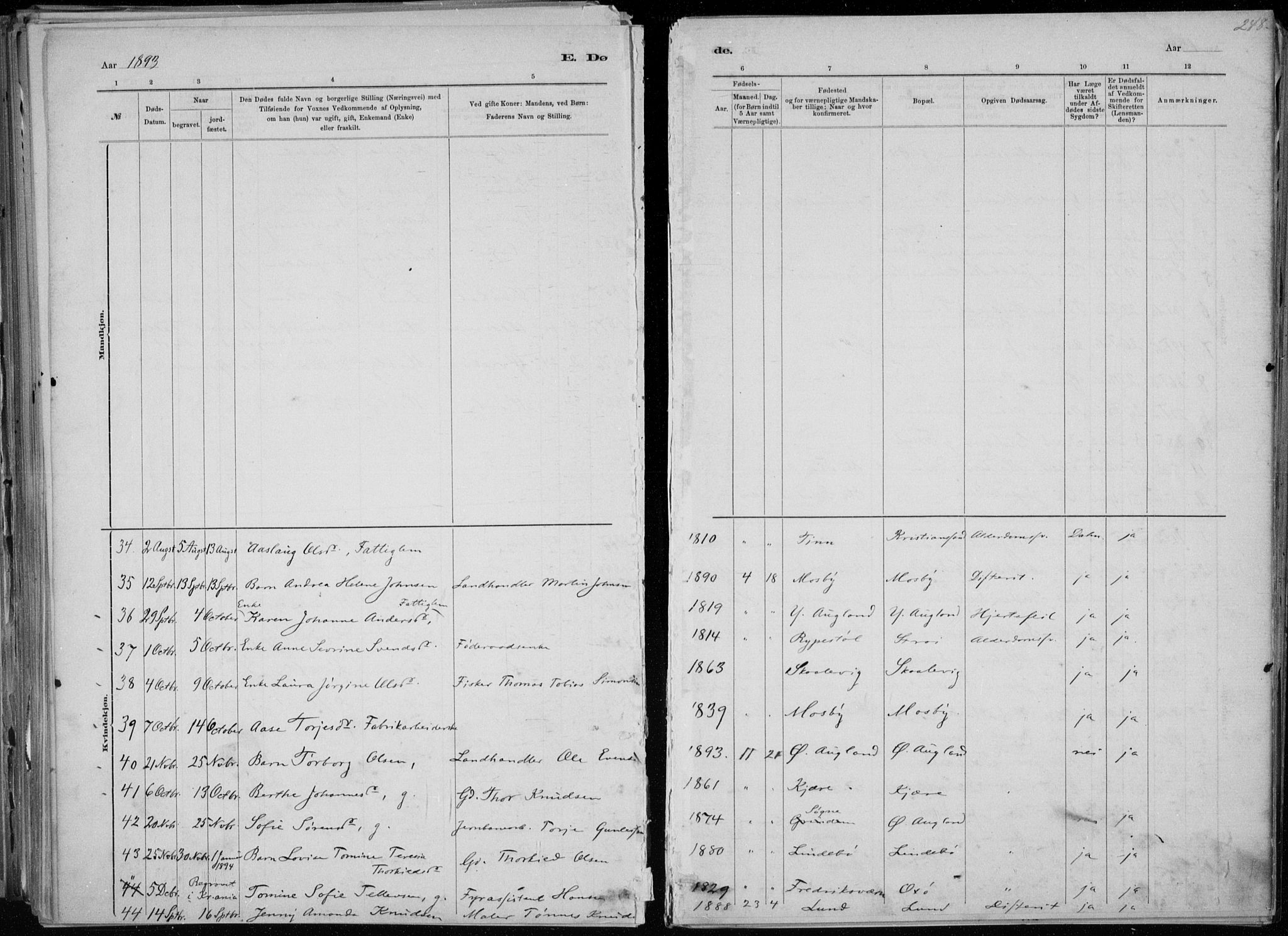 Oddernes sokneprestkontor, SAK/1111-0033/F/Fa/Faa/L0009: Parish register (official) no. A 9, 1884-1896, p. 248