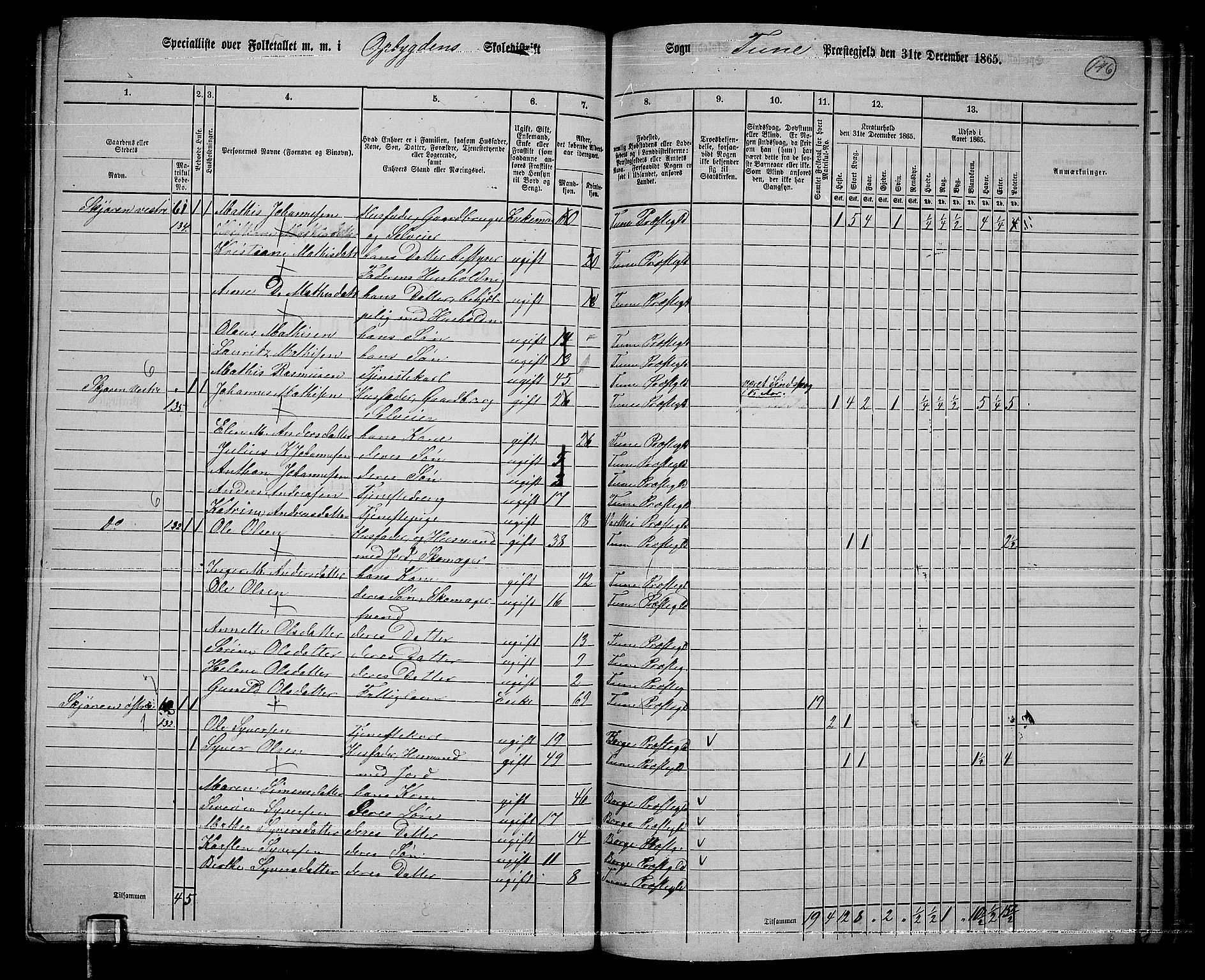 RA, 1865 census for Tune, 1865, p. 228