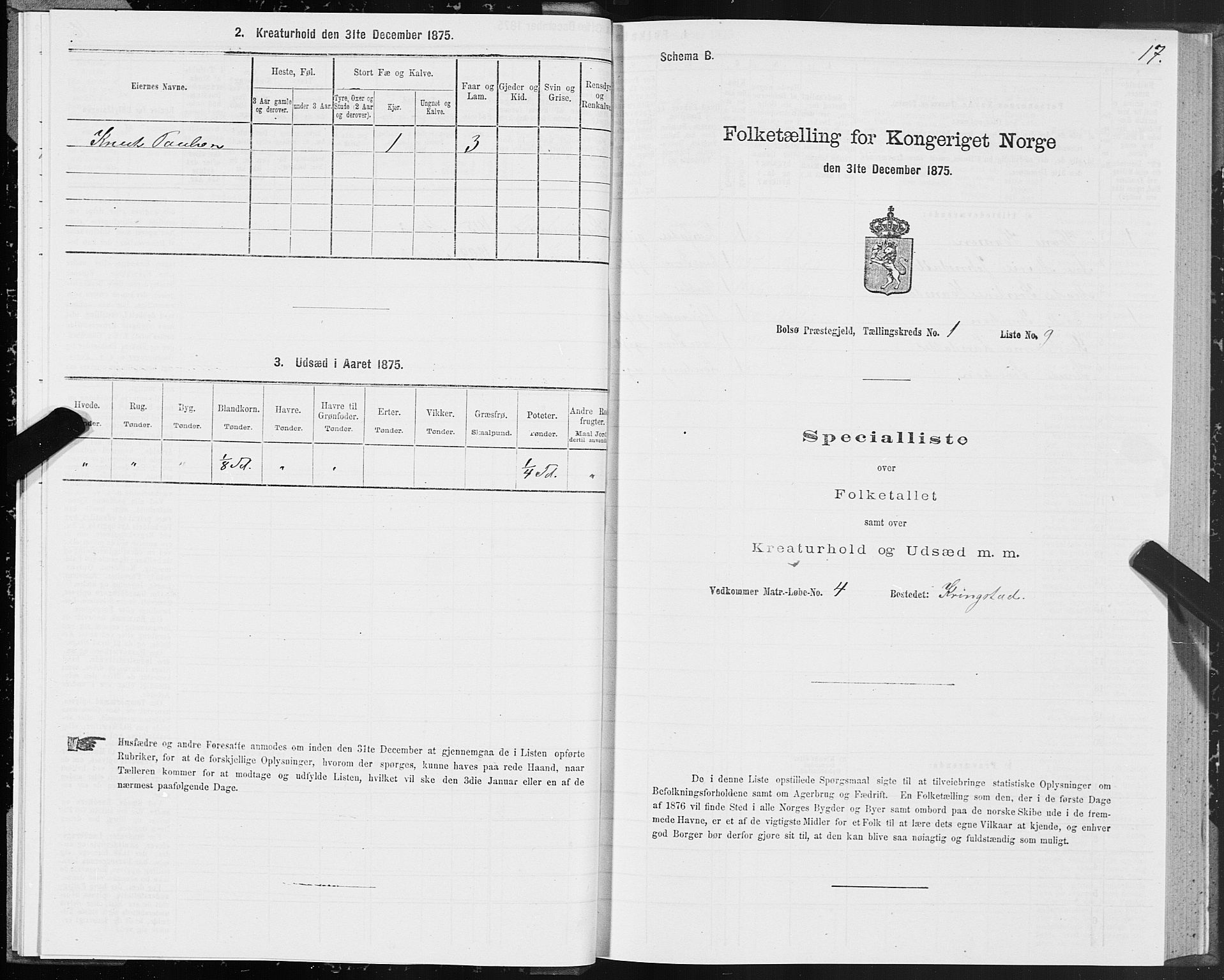 SAT, 1875 census for 1544P Bolsøy, 1875, p. 1017