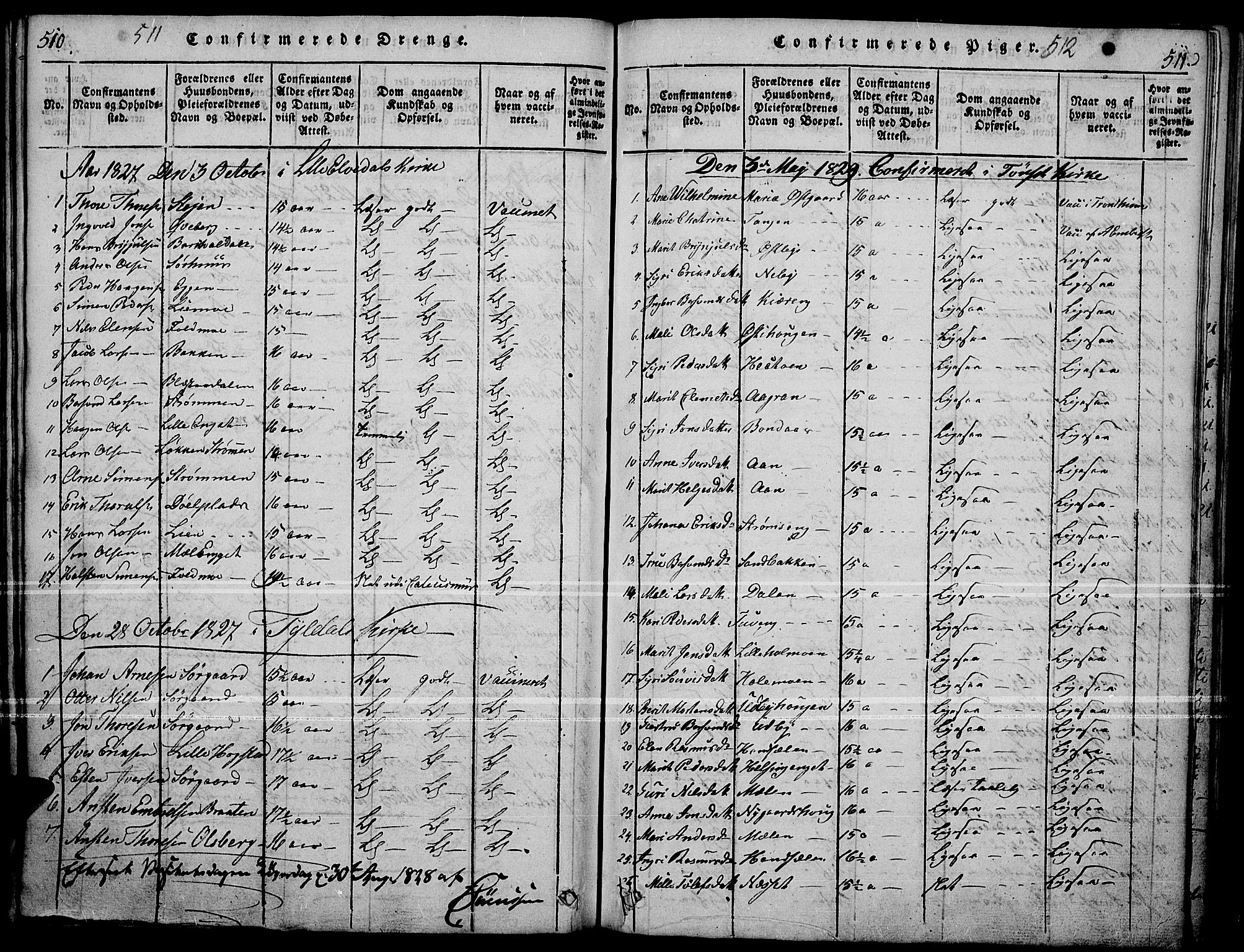 Tynset prestekontor, SAH/PREST-058/H/Ha/Haa/L0018: Parish register (official) no. 18, 1815-1829, p. 510-511