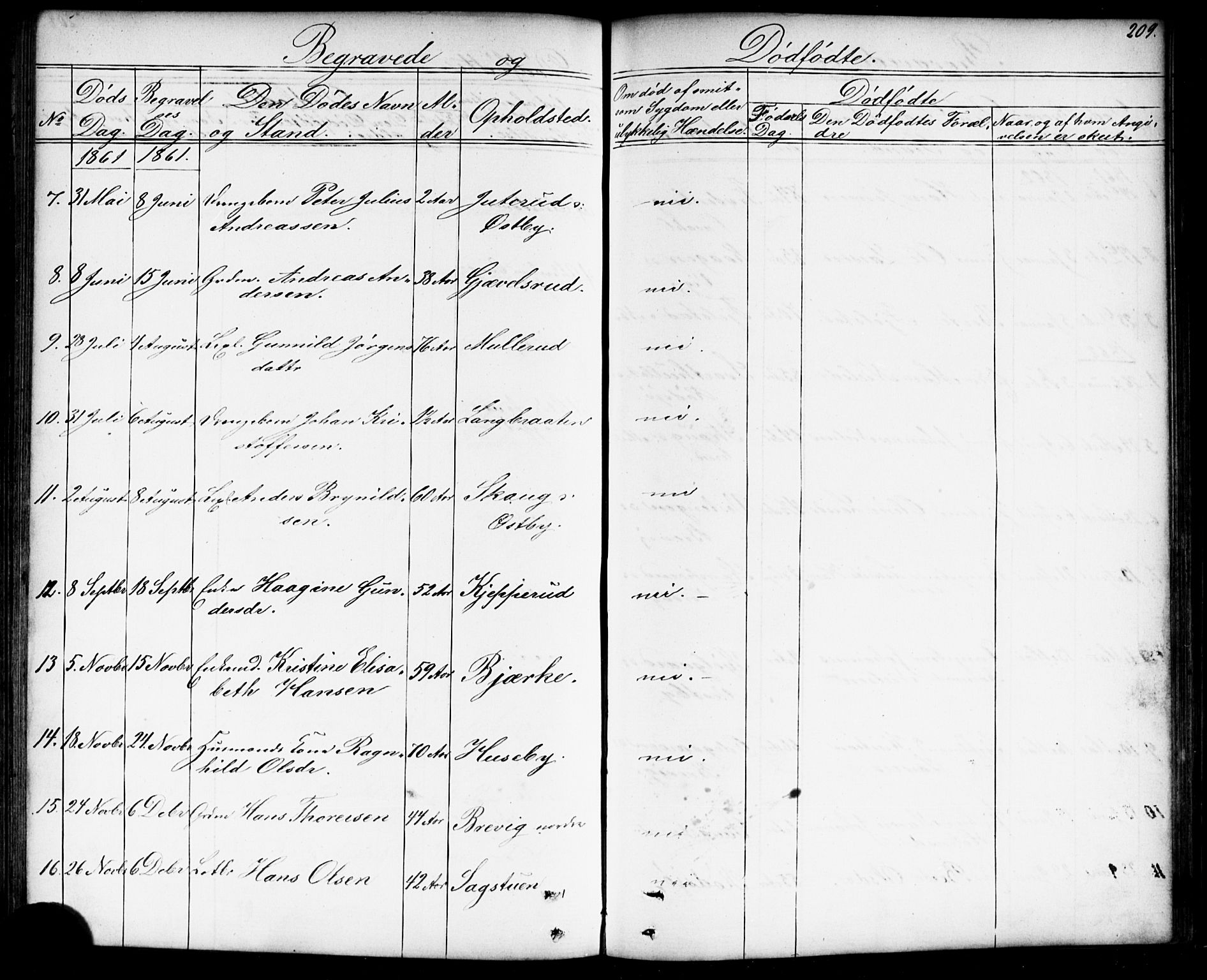 Enebakk prestekontor Kirkebøker, AV/SAO-A-10171c/G/Gb/L0001: Parish register (copy) no. II 1, 1859-1890, p. 209