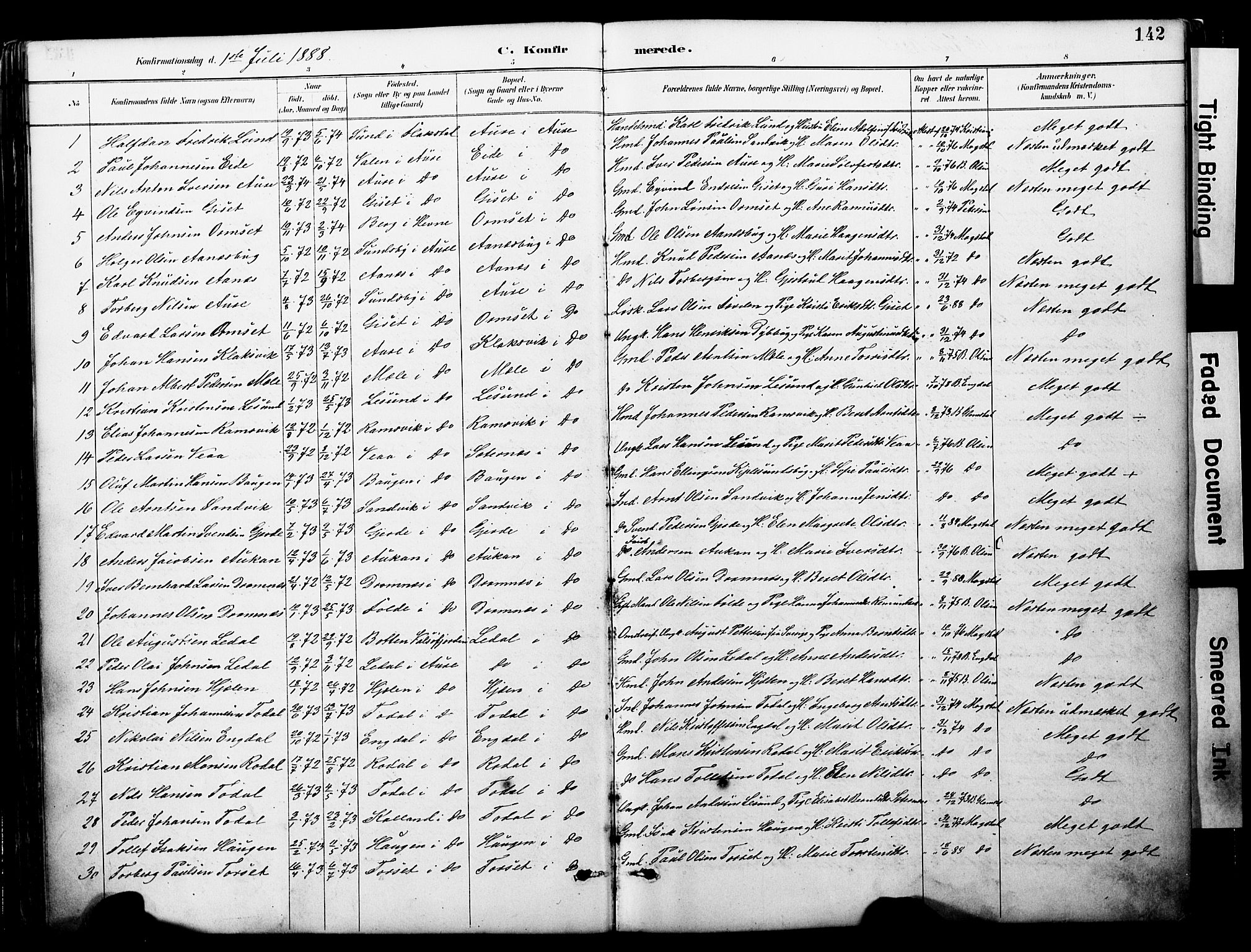 Ministerialprotokoller, klokkerbøker og fødselsregistre - Møre og Romsdal, AV/SAT-A-1454/578/L0907: Parish register (official) no. 578A06, 1887-1904, p. 142