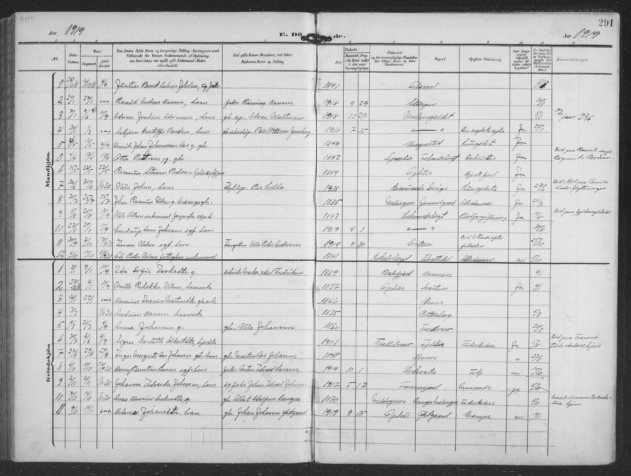 Balsfjord sokneprestembete, SATØ/S-1303/G/Ga/L0009klokker: Parish register (copy) no. 9, 1906-1920, p. 291