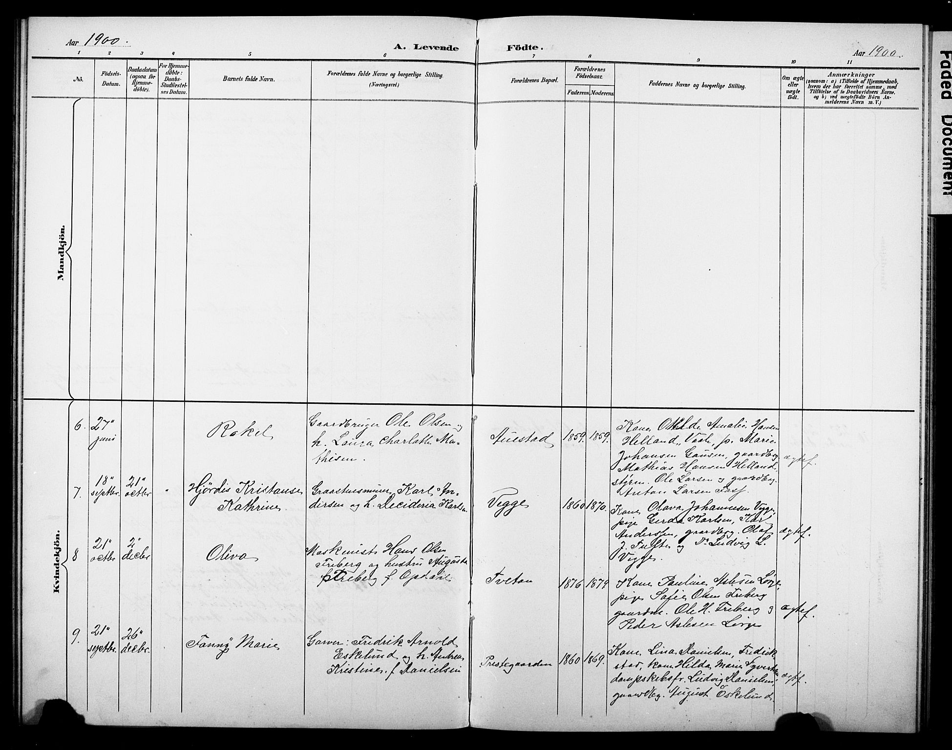 Borre kirkebøker, AV/SAKO-A-338/G/Gb/L0003: Parish register (copy) no. II 3, 1893-1905