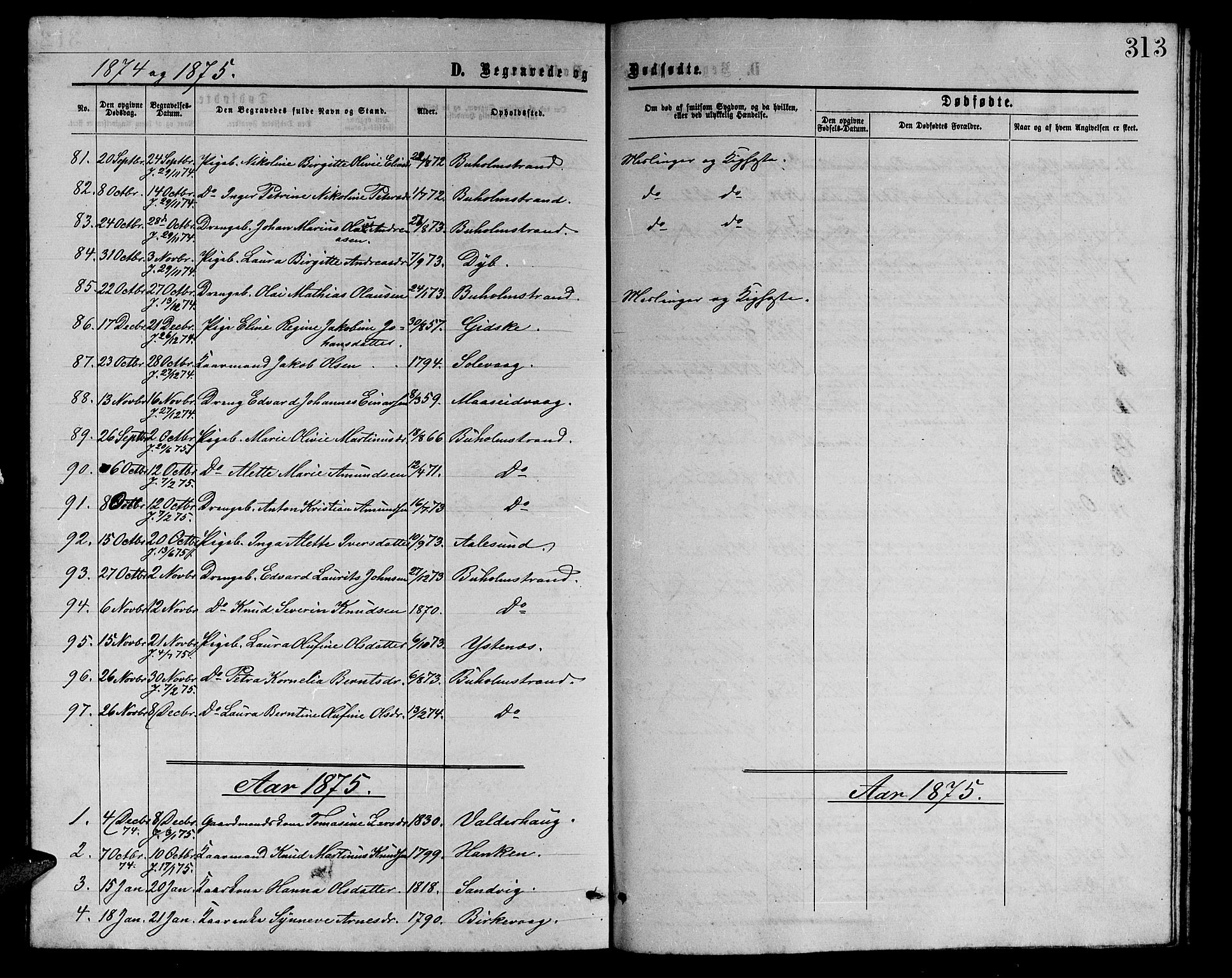 Ministerialprotokoller, klokkerbøker og fødselsregistre - Møre og Romsdal, AV/SAT-A-1454/528/L0428: Parish register (copy) no. 528C09, 1864-1880, p. 313