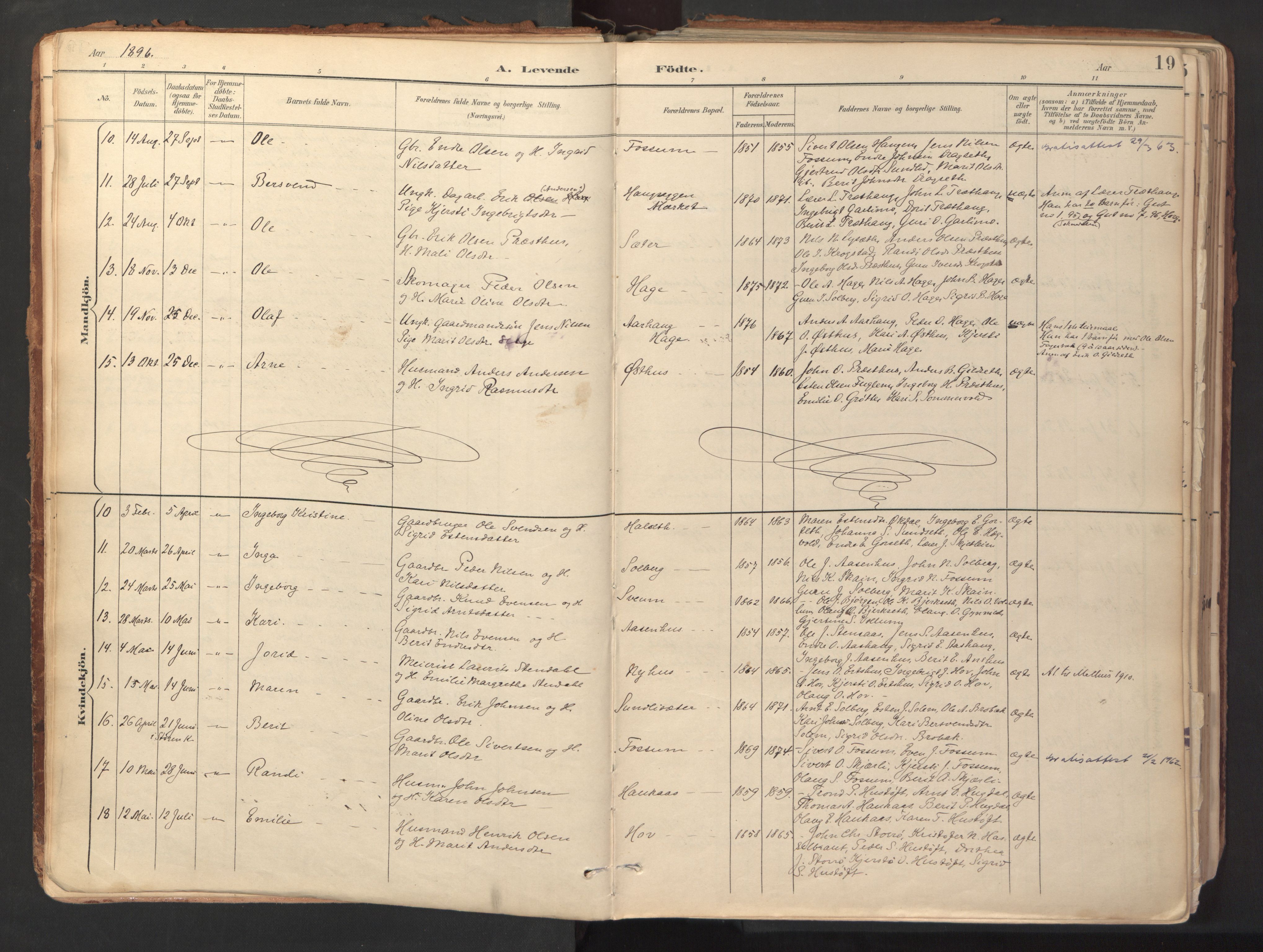 Ministerialprotokoller, klokkerbøker og fødselsregistre - Sør-Trøndelag, AV/SAT-A-1456/689/L1041: Parish register (official) no. 689A06, 1891-1923, p. 19