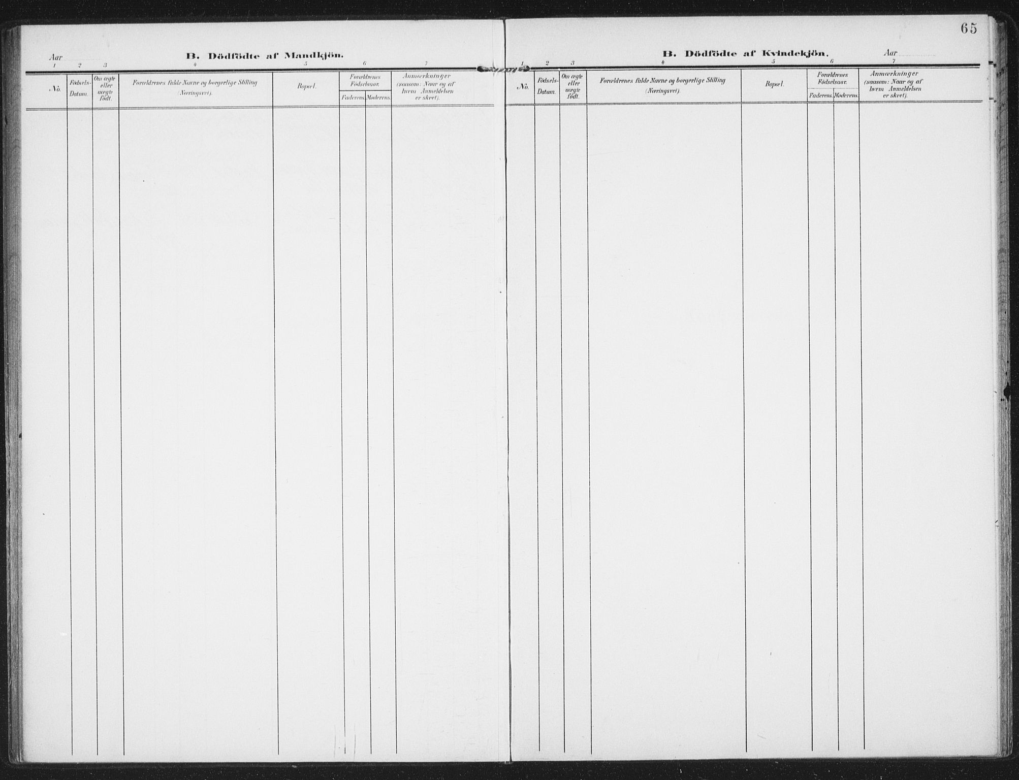 Berg sokneprestkontor, AV/SATØ-S-1318/G/Ga/Gaa/L0008kirke: Parish register (official) no. 8, 1904-1916, p. 65