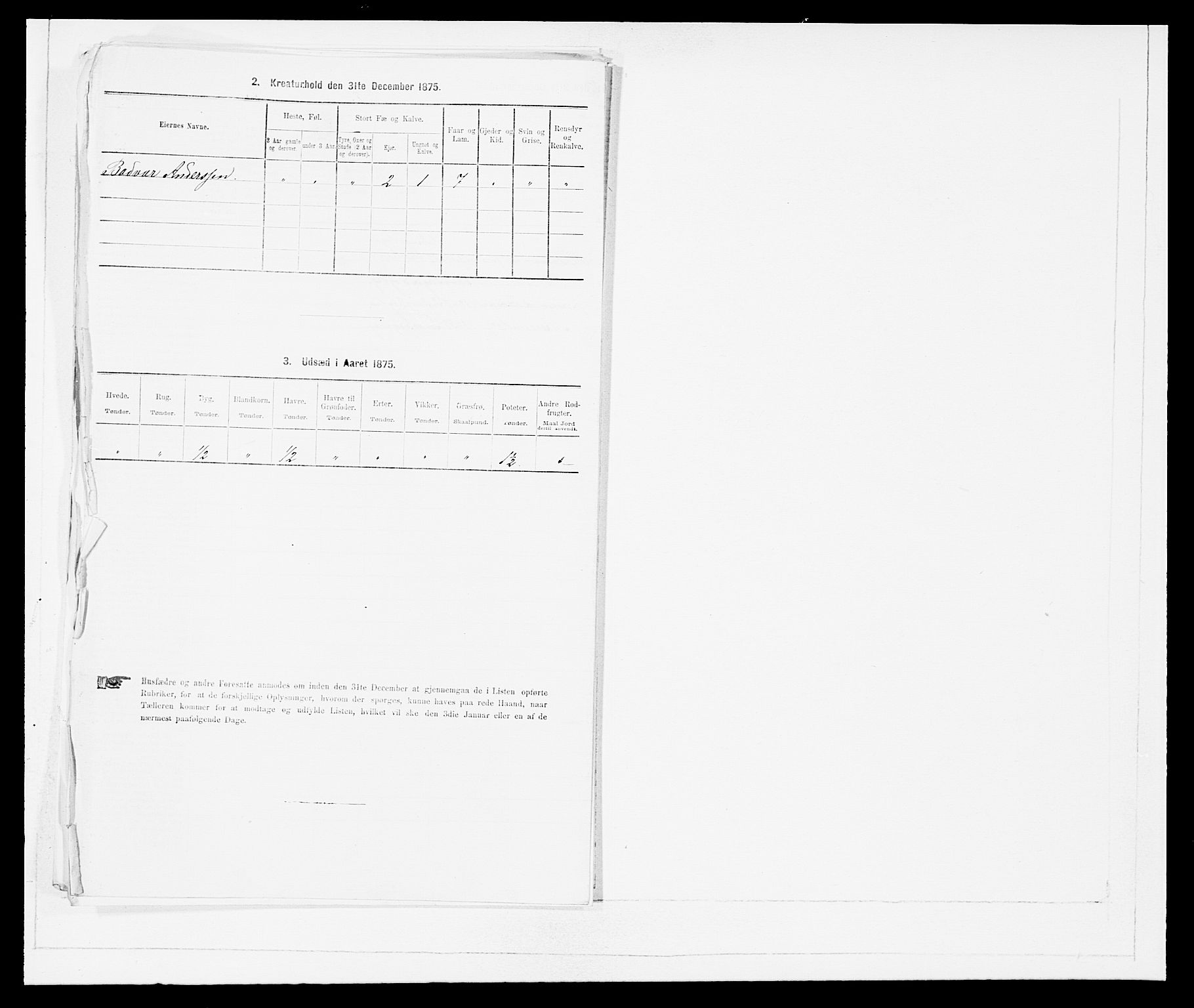 SAB, 1875 Census for 1447P Innvik, 1875, p. 612