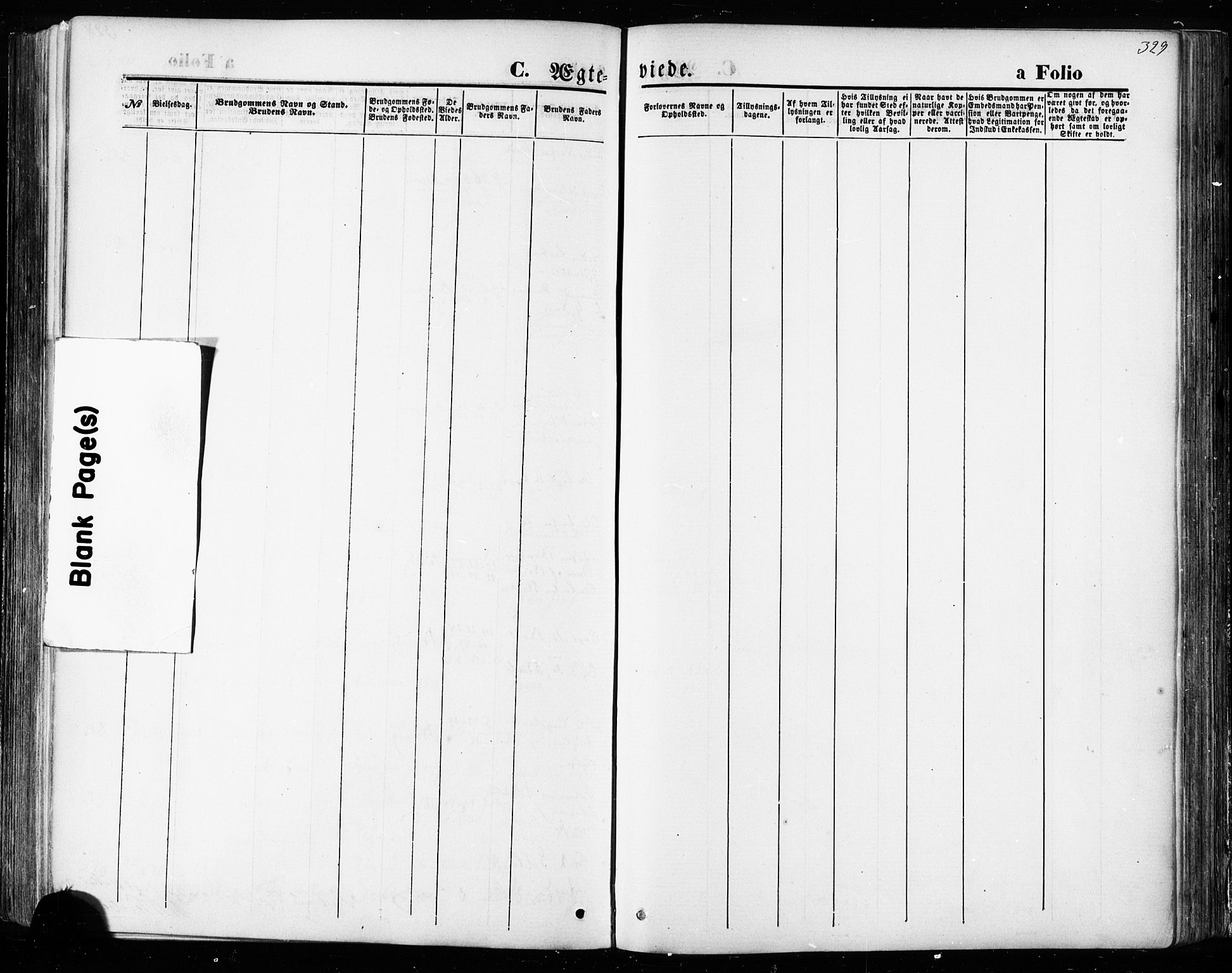Ministerialprotokoller, klokkerbøker og fødselsregistre - Sør-Trøndelag, SAT/A-1456/668/L0807: Parish register (official) no. 668A07, 1870-1880, p. 329
