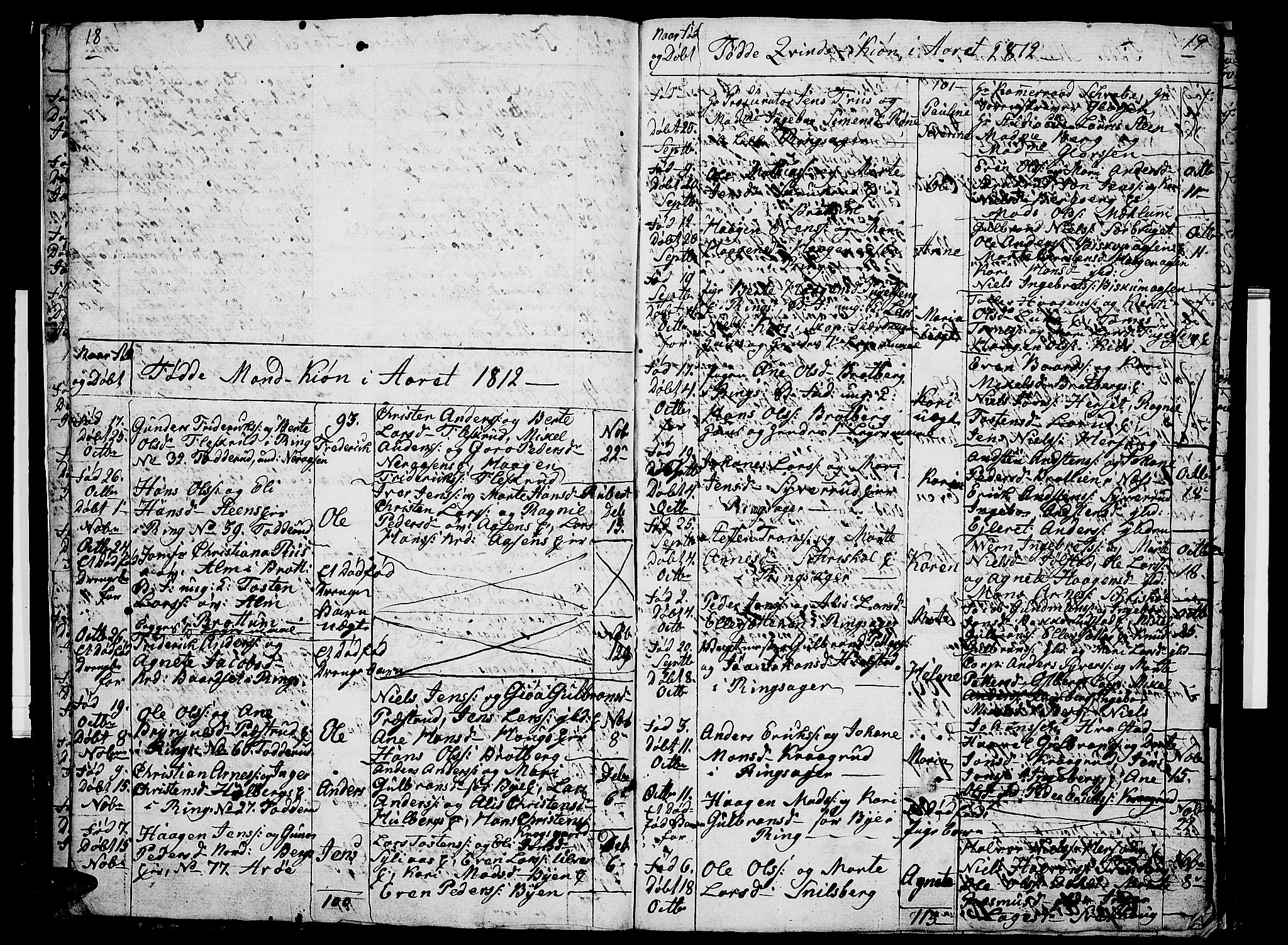 Ringsaker prestekontor, AV/SAH-PREST-014/I/Ia/L0005/0009: Parish register draft no. 5.9, 1811-1814, p. 18-19