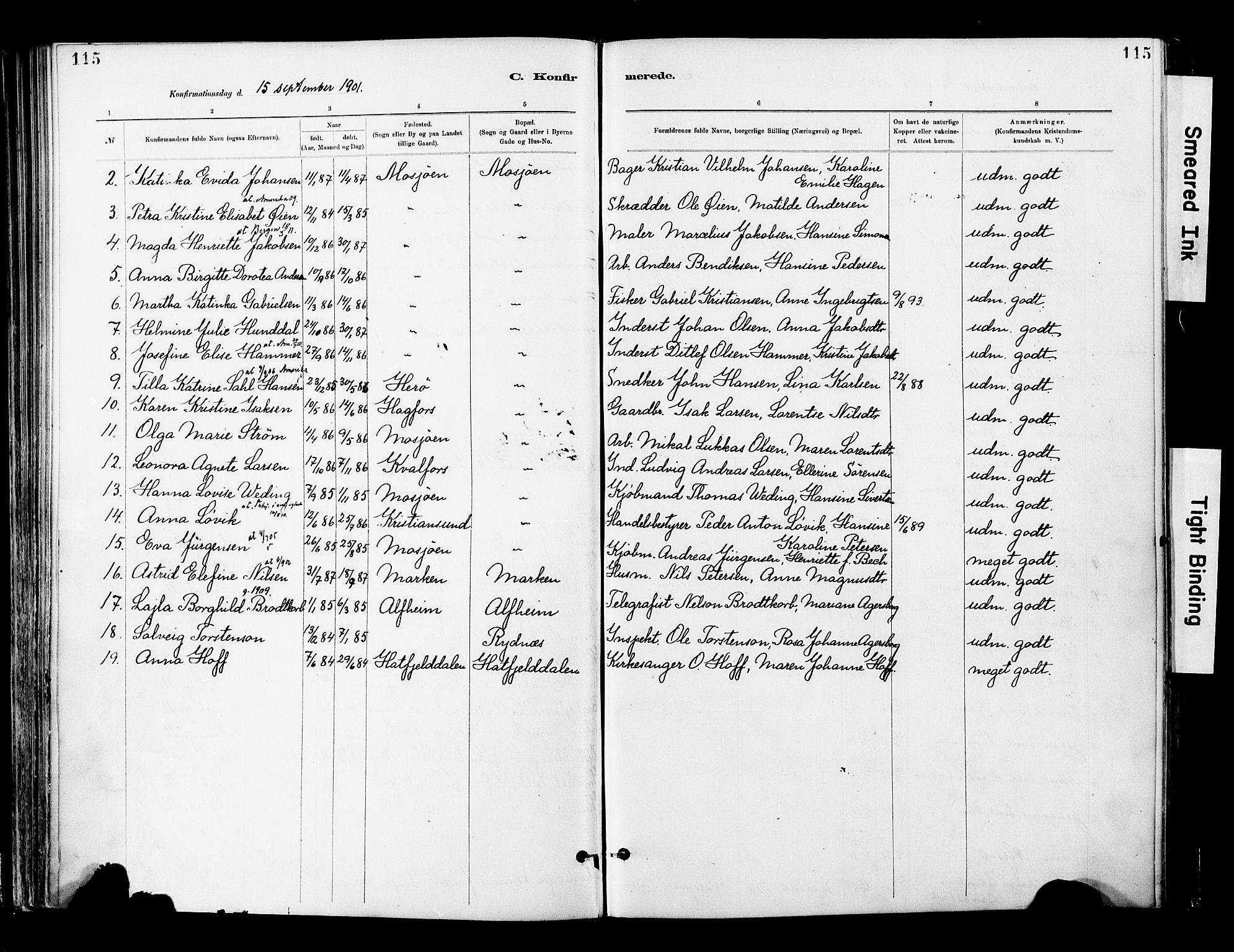 Ministerialprotokoller, klokkerbøker og fødselsregistre - Nordland, AV/SAT-A-1459/820/L0296: Parish register (official) no. 820A17, 1880-1903, p. 115