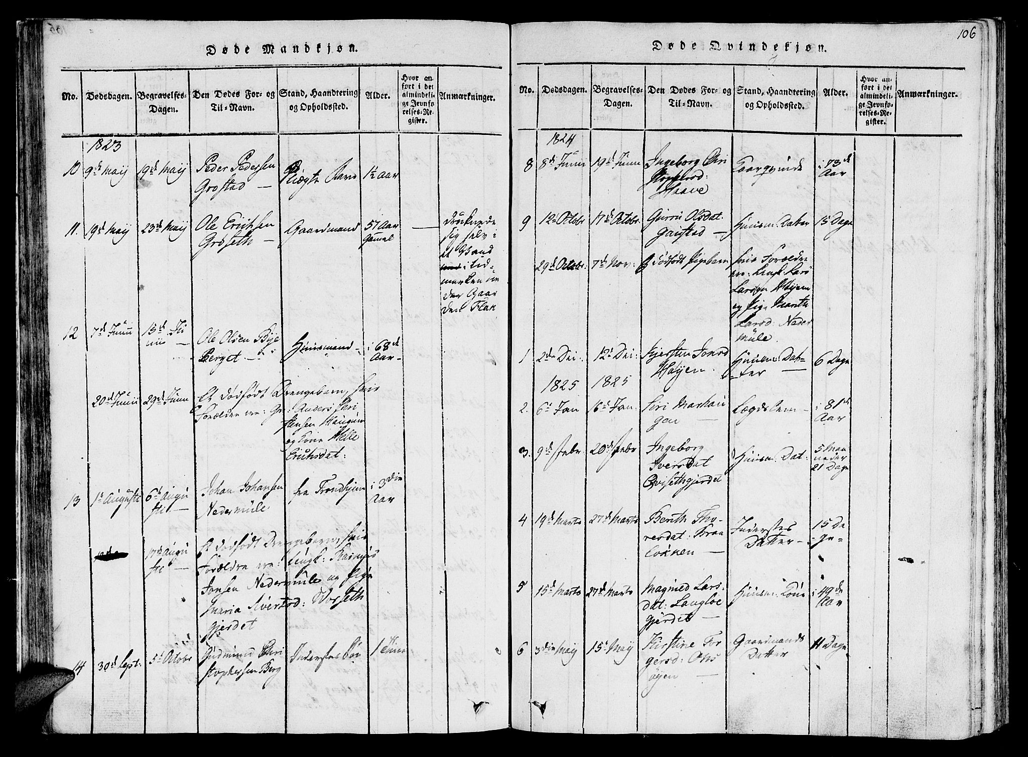 Ministerialprotokoller, klokkerbøker og fødselsregistre - Sør-Trøndelag, SAT/A-1456/612/L0372: Parish register (official) no. 612A06 /1, 1816-1828, p. 106
