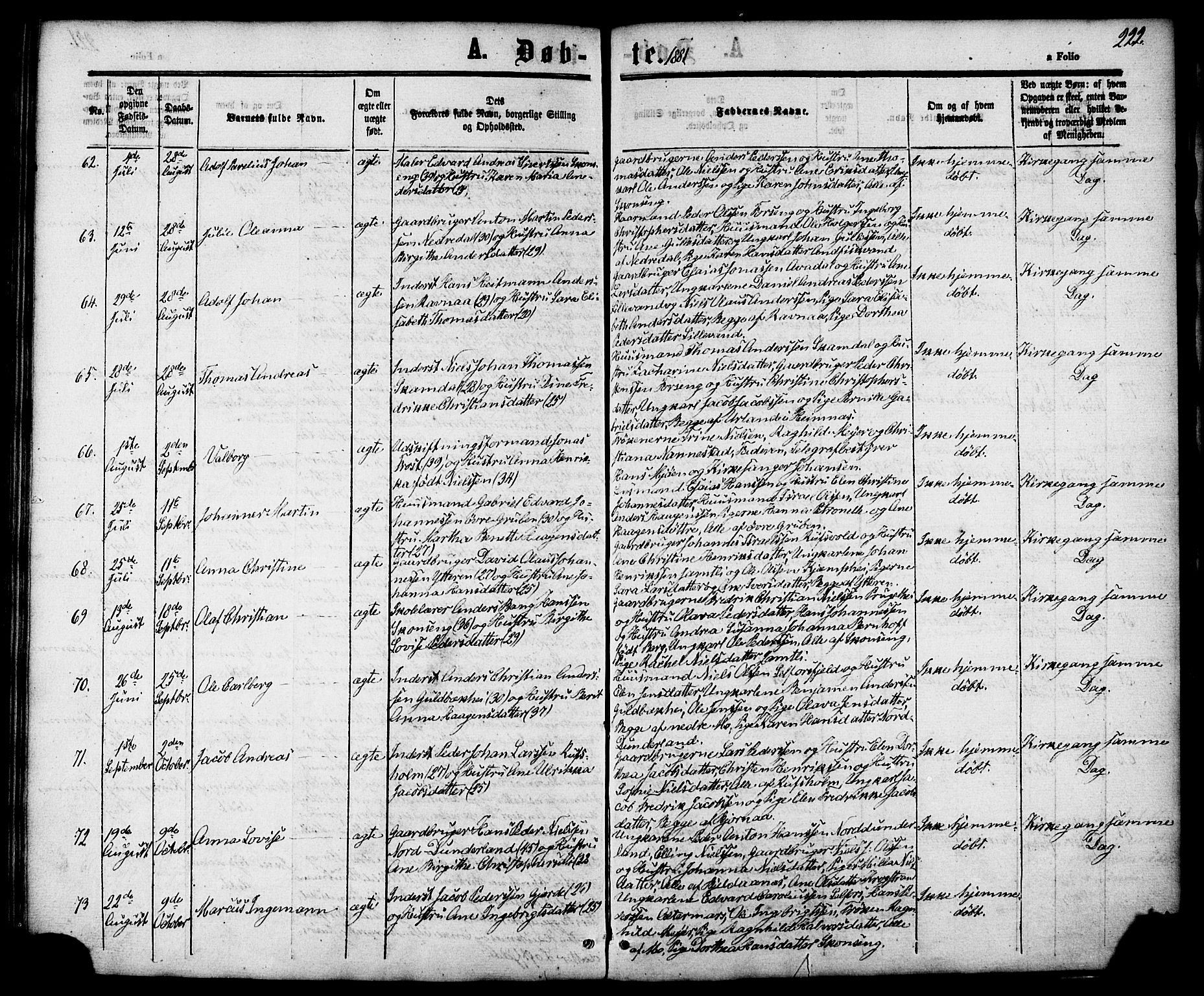 Ministerialprotokoller, klokkerbøker og fødselsregistre - Nordland, AV/SAT-A-1459/827/L0393: Parish register (official) no. 827A05, 1863-1883, p. 222