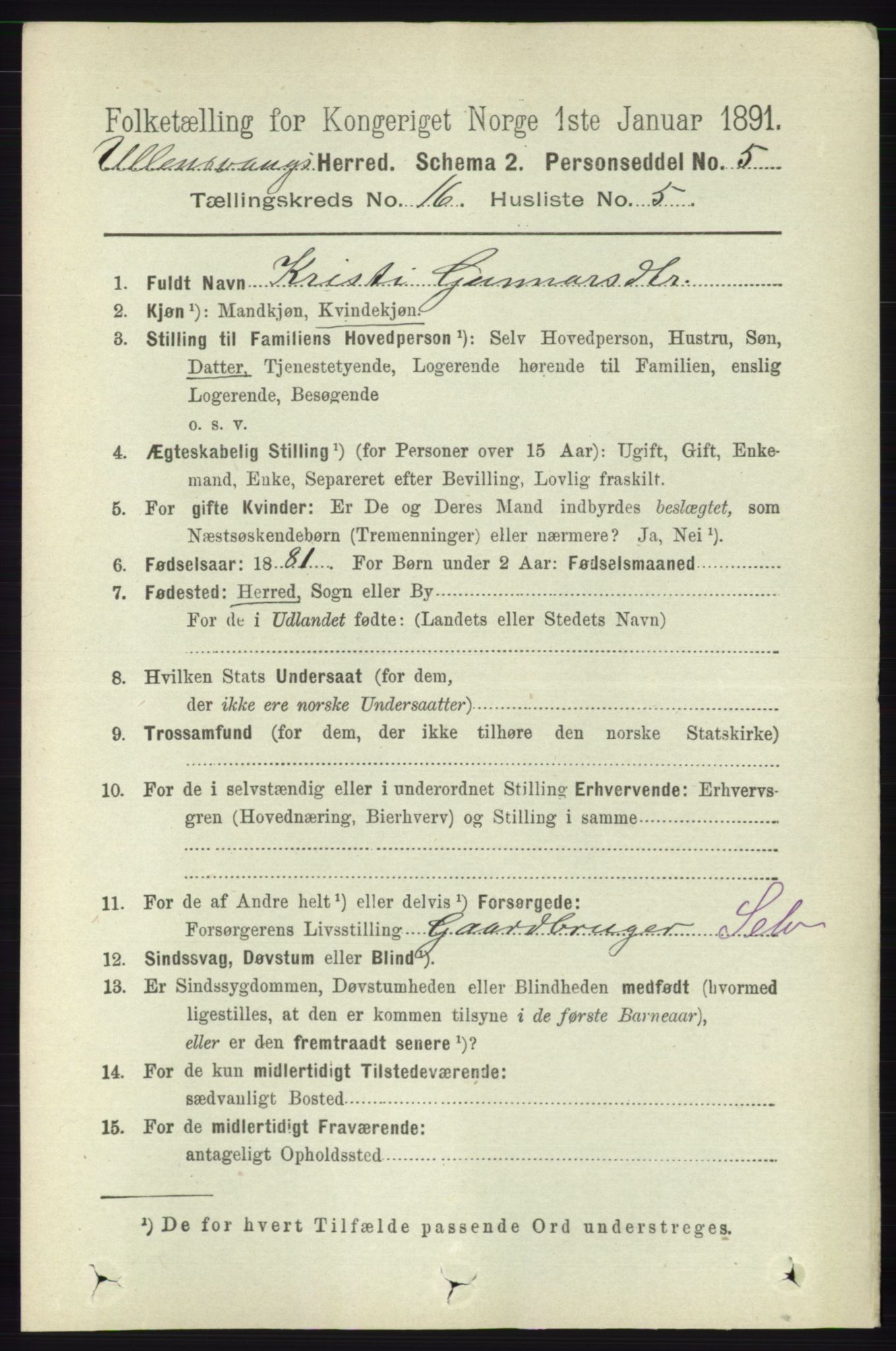 RA, 1891 census for 1230 Ullensvang, 1891, p. 6260