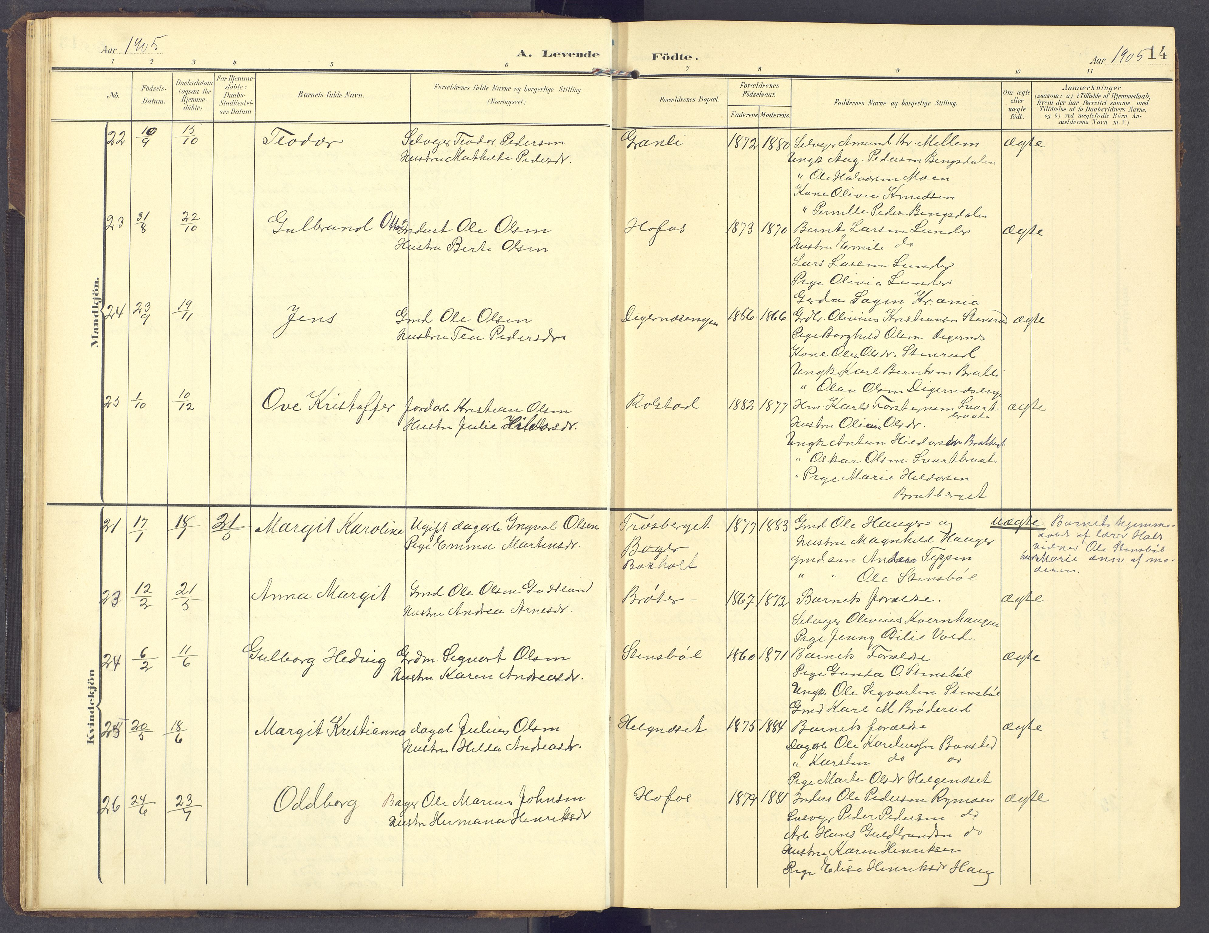 Brandval prestekontor, AV/SAH-PREST-034/H/Ha/Hab/L0003: Parish register (copy) no. 3, 1904-1917, p. 14