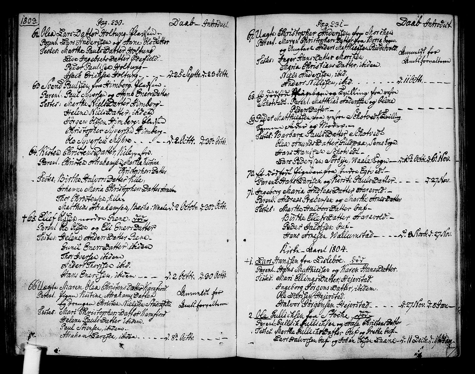 Ramnes kirkebøker, AV/SAKO-A-314/F/Fa/L0003: Parish register (official) no. I 3, 1790-1813, p. 230-231