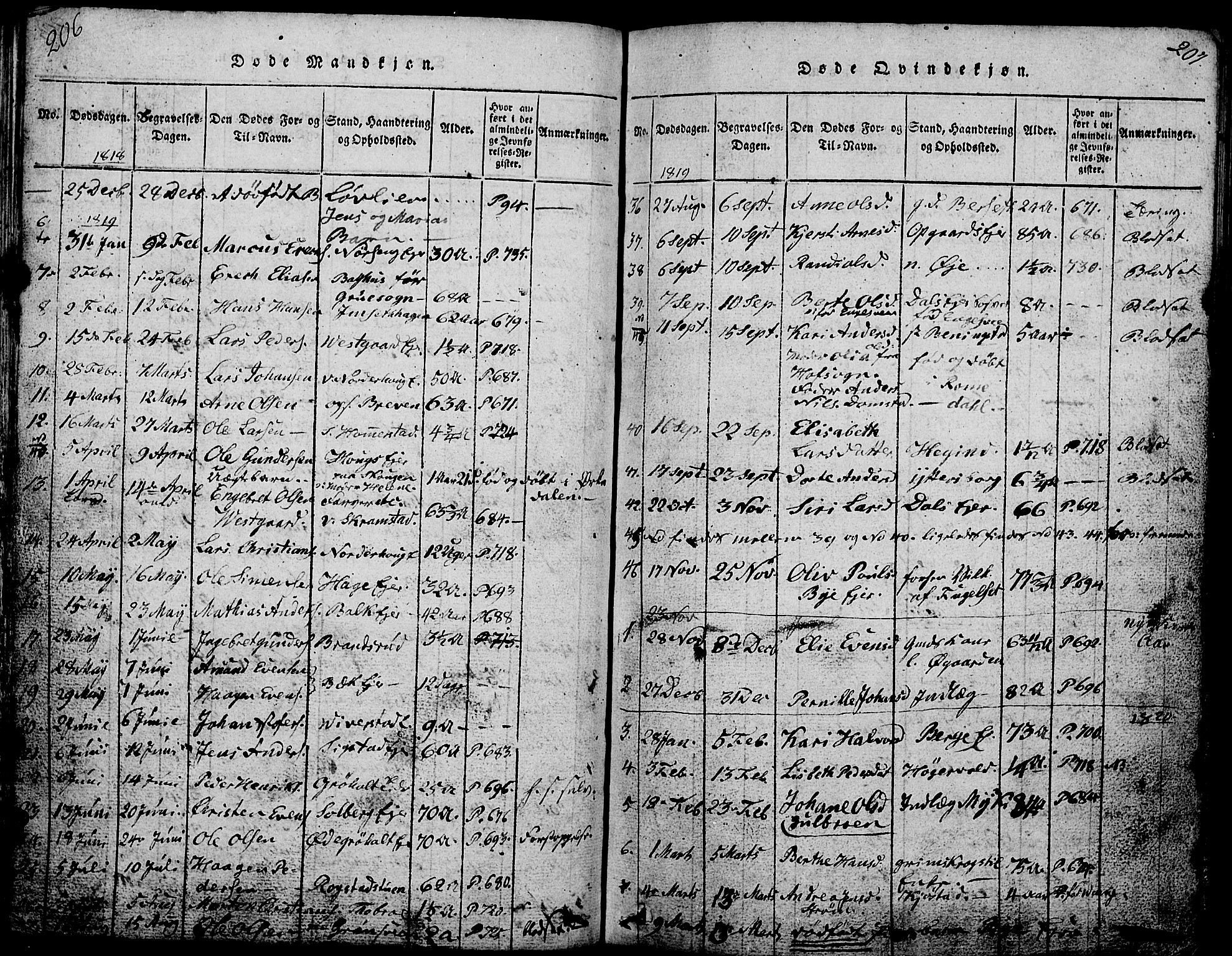 Løten prestekontor, SAH/PREST-022/L/La/L0001: Parish register (copy) no. 1, 1812-1832, p. 206-207