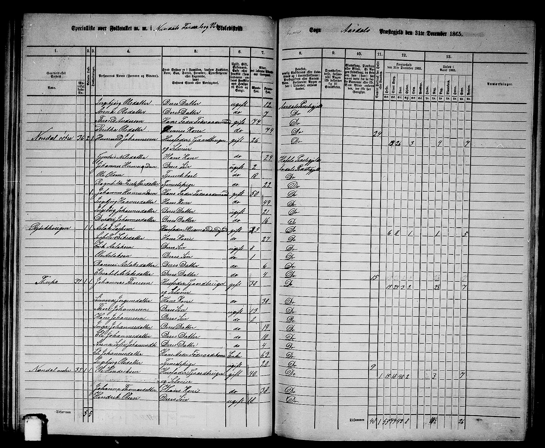 RA, 1865 census for Årdal, 1865, p. 65