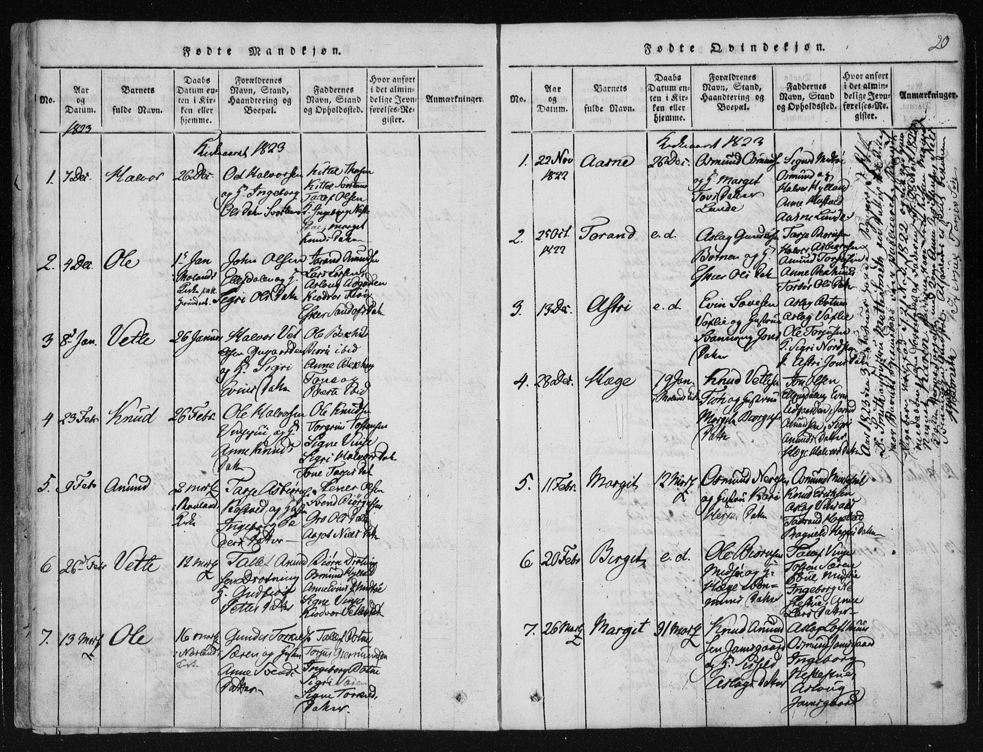 Vinje kirkebøker, SAKO/A-312/F/Fa/L0003: Parish register (official) no. I 3, 1814-1843, p. 20