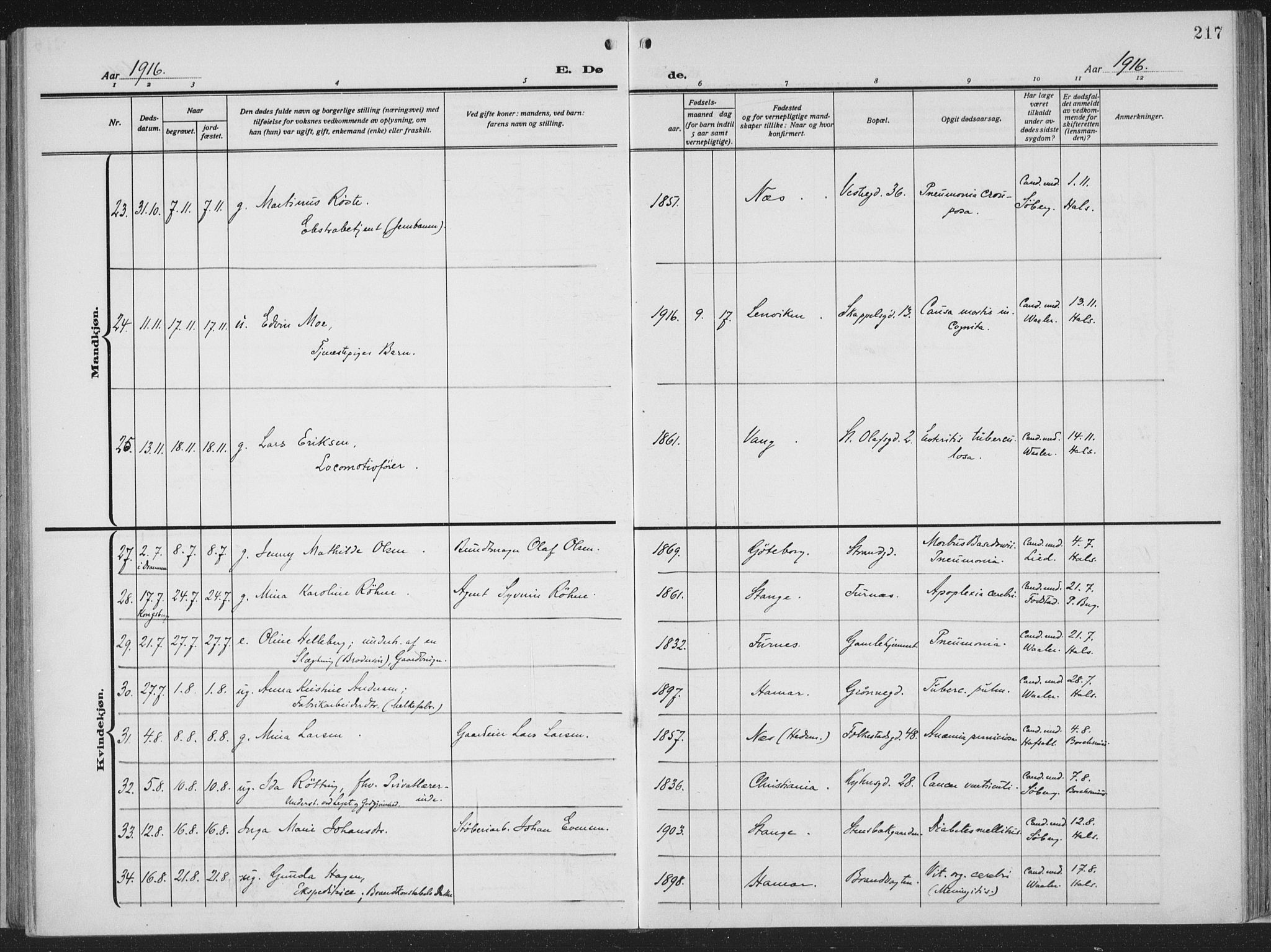 Hamar prestekontor, AV/SAH-DOMPH-002/H/Ha/Haa/L0002: Parish register (official) no. 2, 1915-1936, p. 217