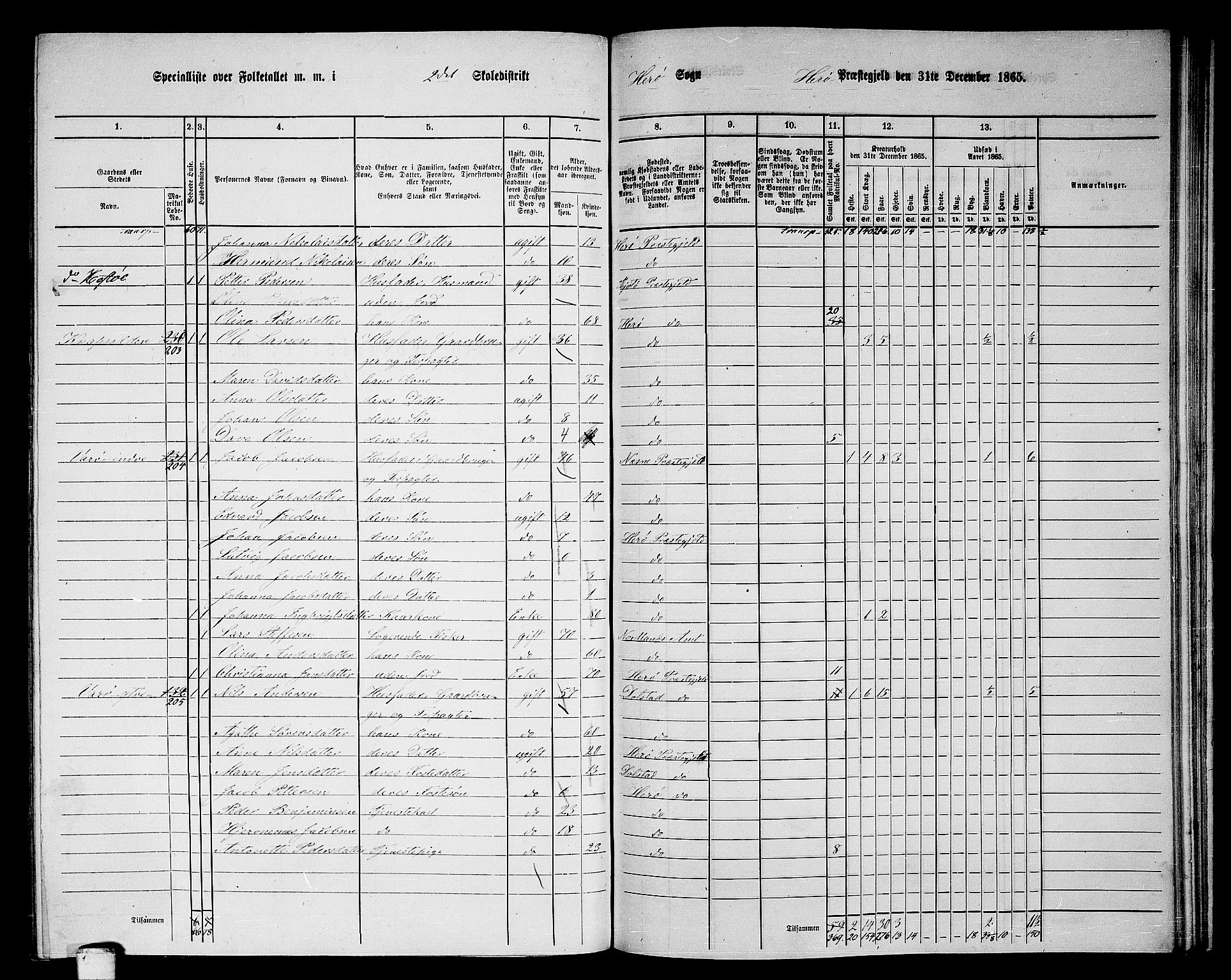 RA, 1865 census for Herøy, 1865, p. 47