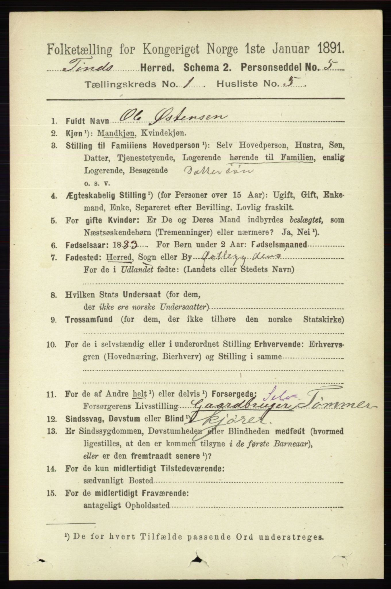 RA, 1891 census for 0826 Tinn, 1891, p. 78