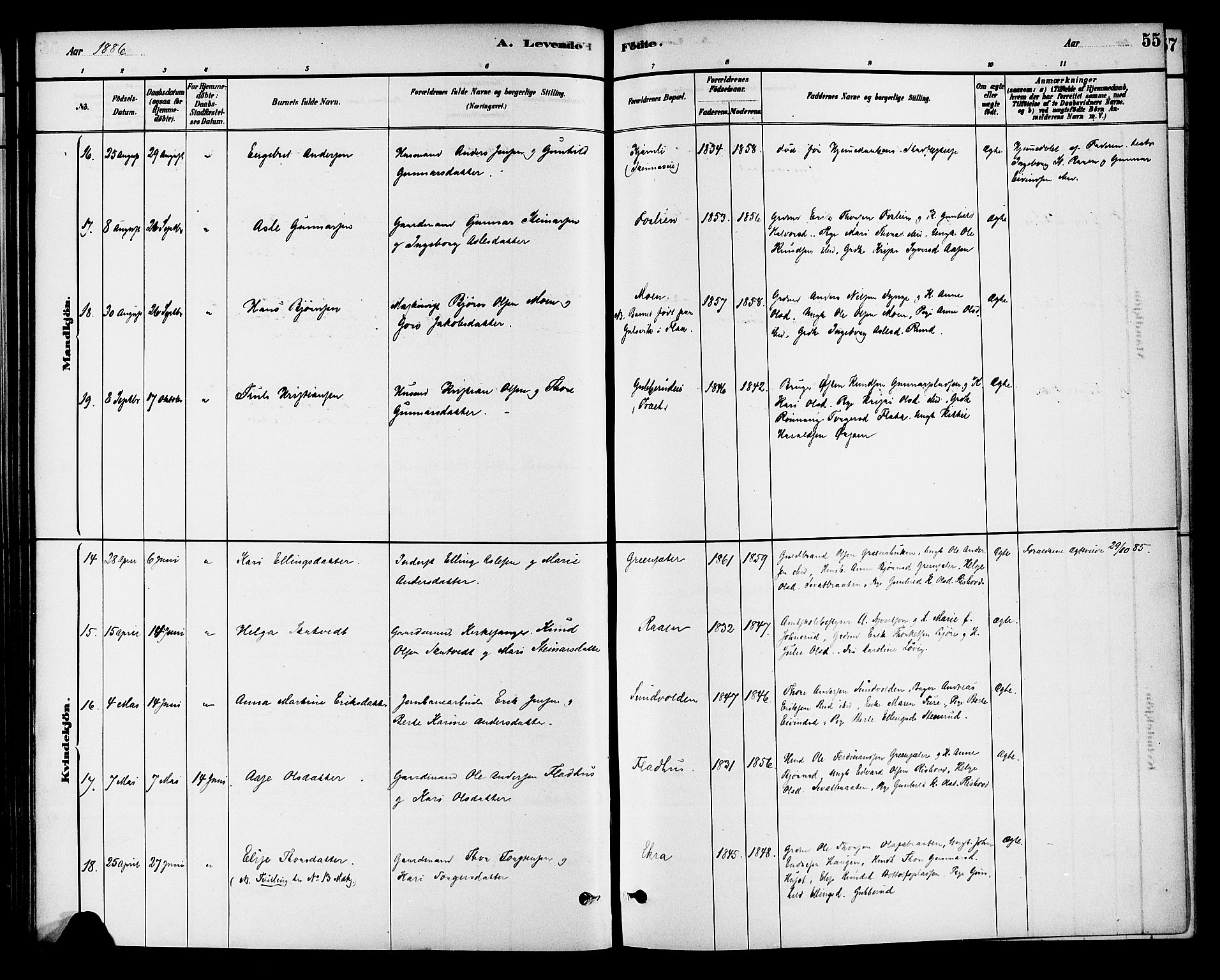 Krødsherad kirkebøker, AV/SAKO-A-19/G/Ga/L0001: Parish register (copy) no. 1, 1879-1893, p. 55