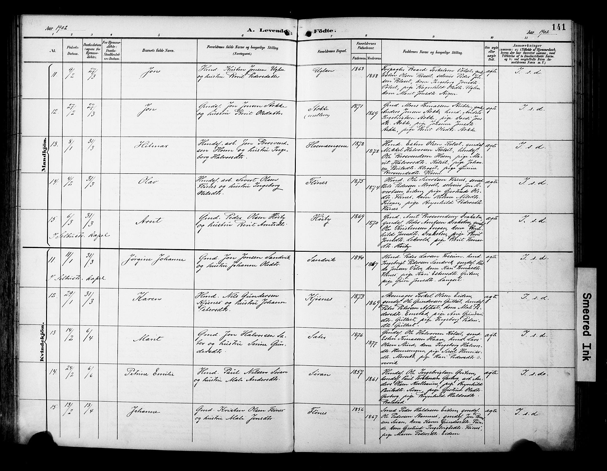 Ministerialprotokoller, klokkerbøker og fødselsregistre - Sør-Trøndelag, AV/SAT-A-1456/695/L1149: Parish register (official) no. 695A09, 1891-1902, p. 141