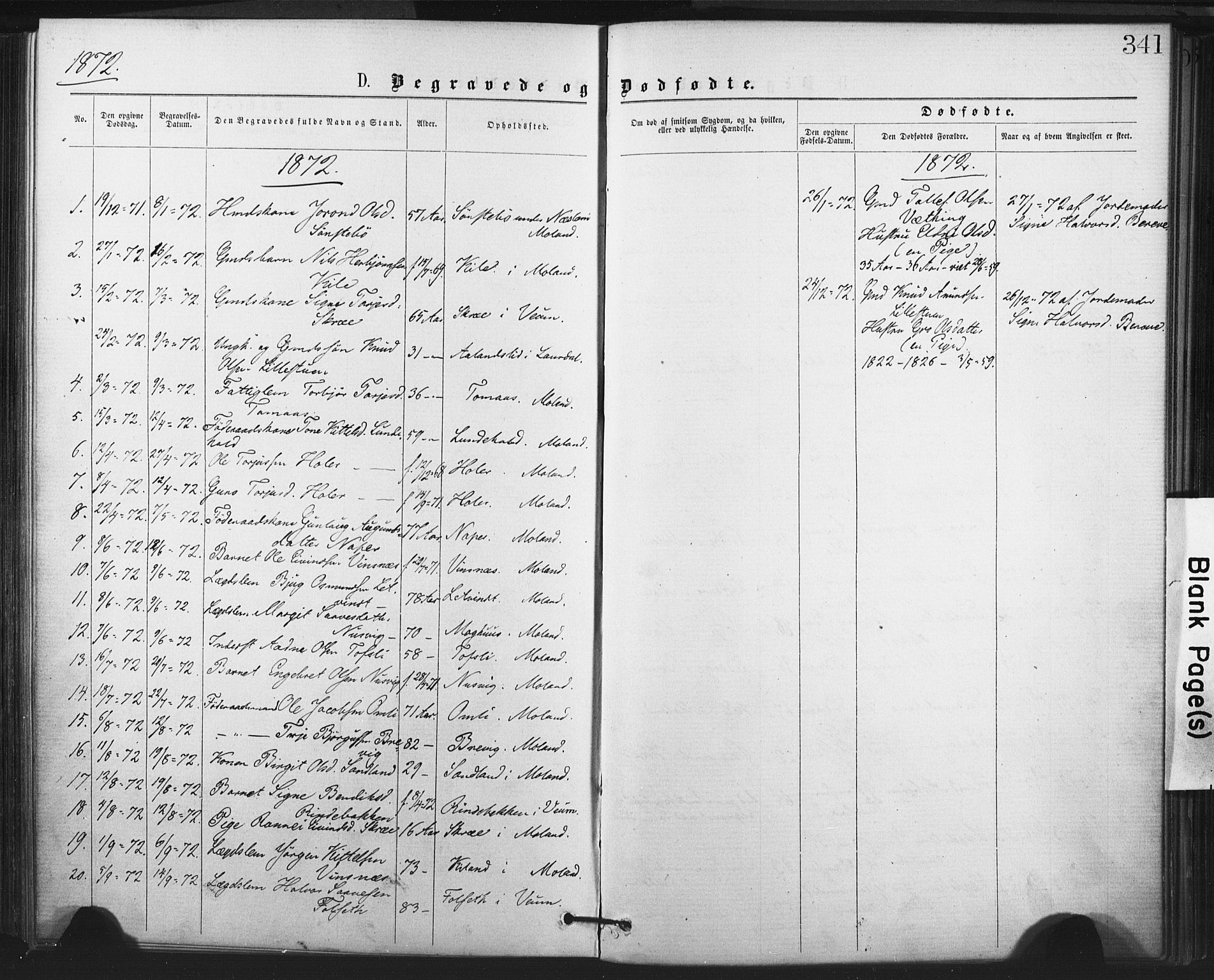 Fyresdal kirkebøker, AV/SAKO-A-263/F/Fa/L0006: Parish register (official) no. I 6, 1872-1886, p. 341