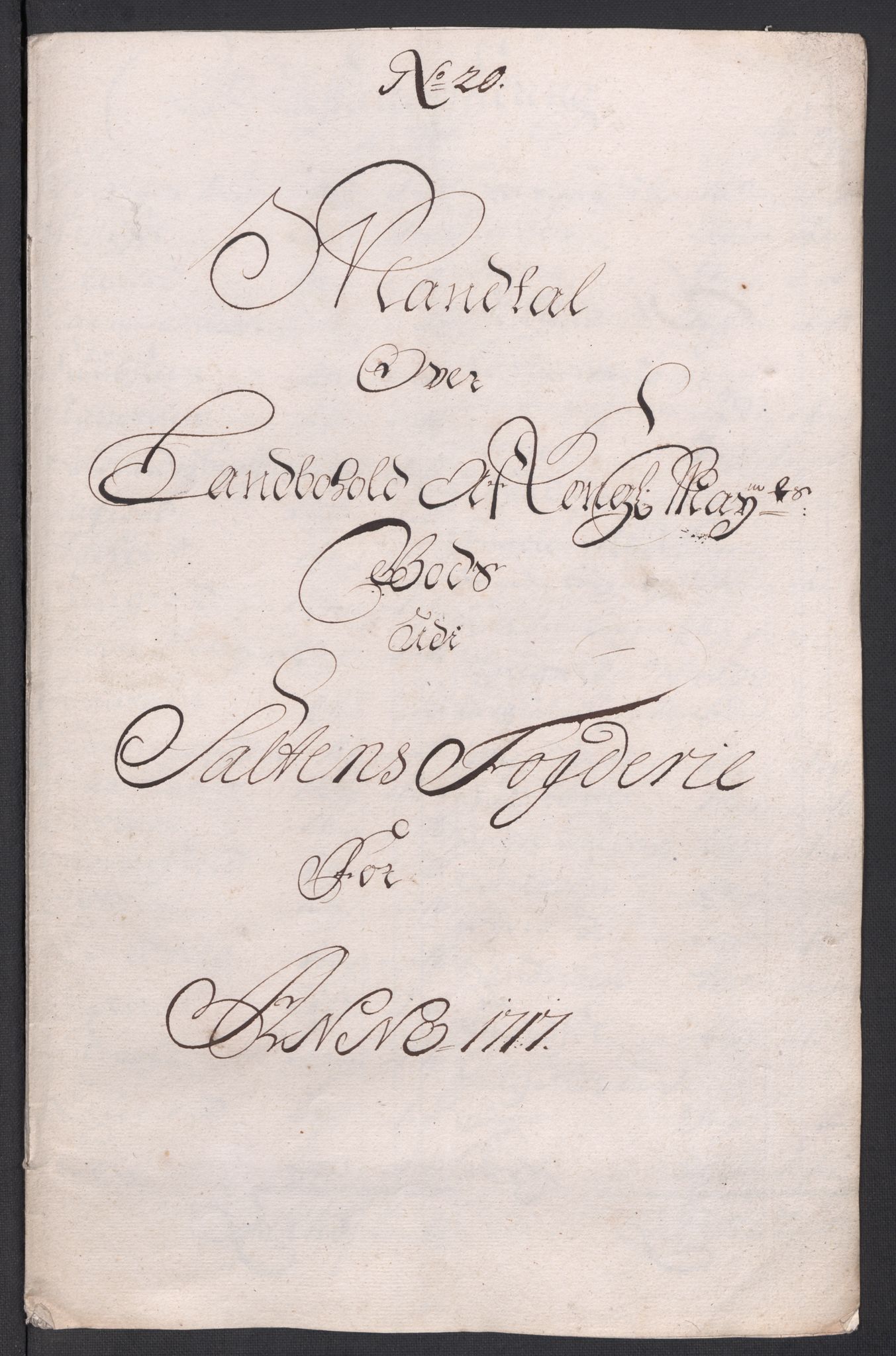 Rentekammeret inntil 1814, Reviderte regnskaper, Fogderegnskap, AV/RA-EA-4092/R66/L4587: Fogderegnskap Salten, 1717, p. 227