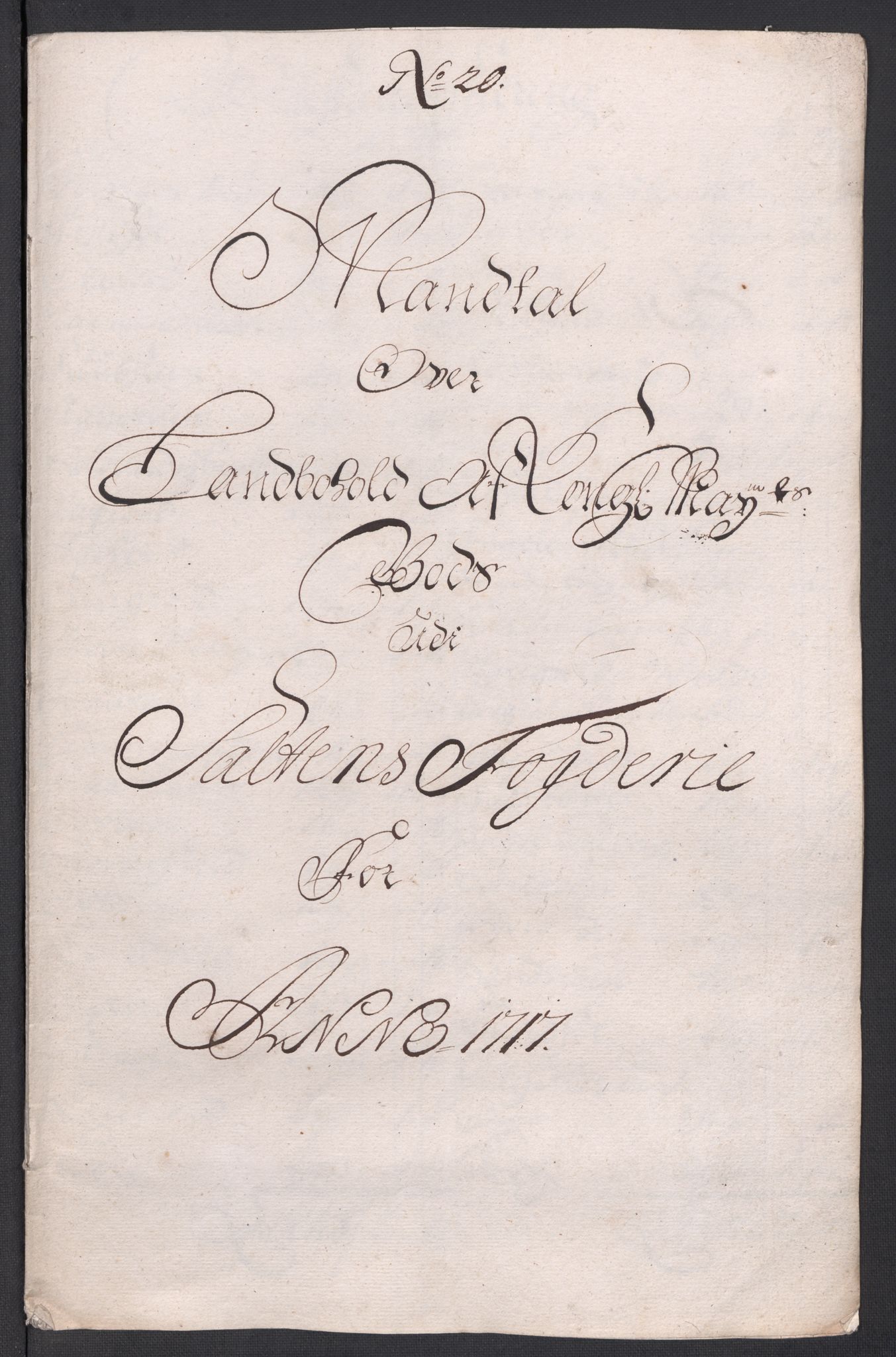 Rentekammeret inntil 1814, Reviderte regnskaper, Fogderegnskap, RA/EA-4092/R66/L4587: Fogderegnskap Salten, 1717, p. 227