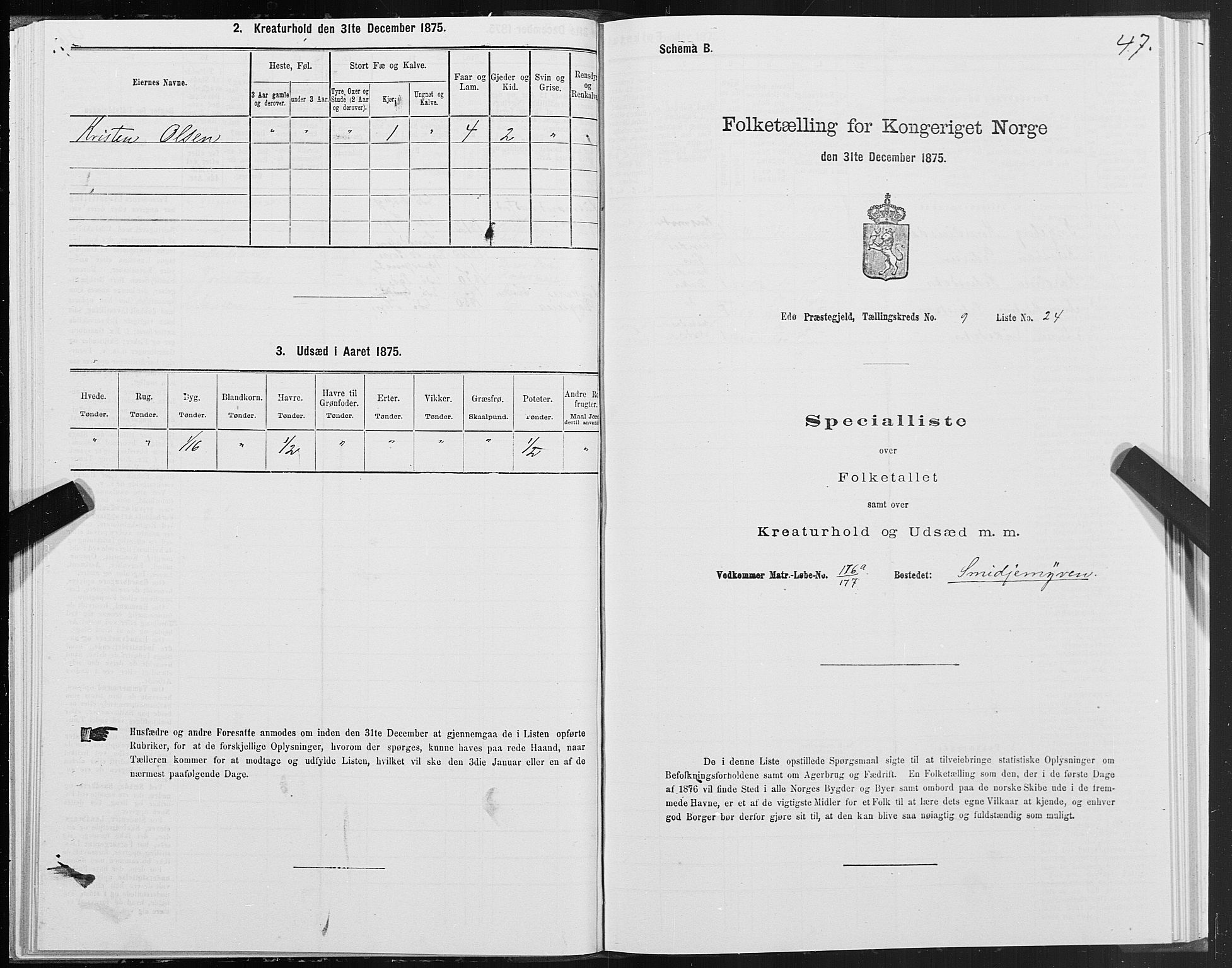 SAT, 1875 census for 1573P Edøy, 1875, p. 4047