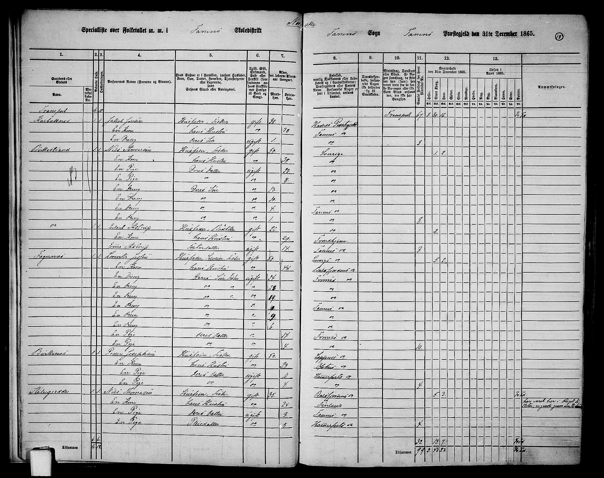 RA, 1865 census for Tana, 1865, p. 15