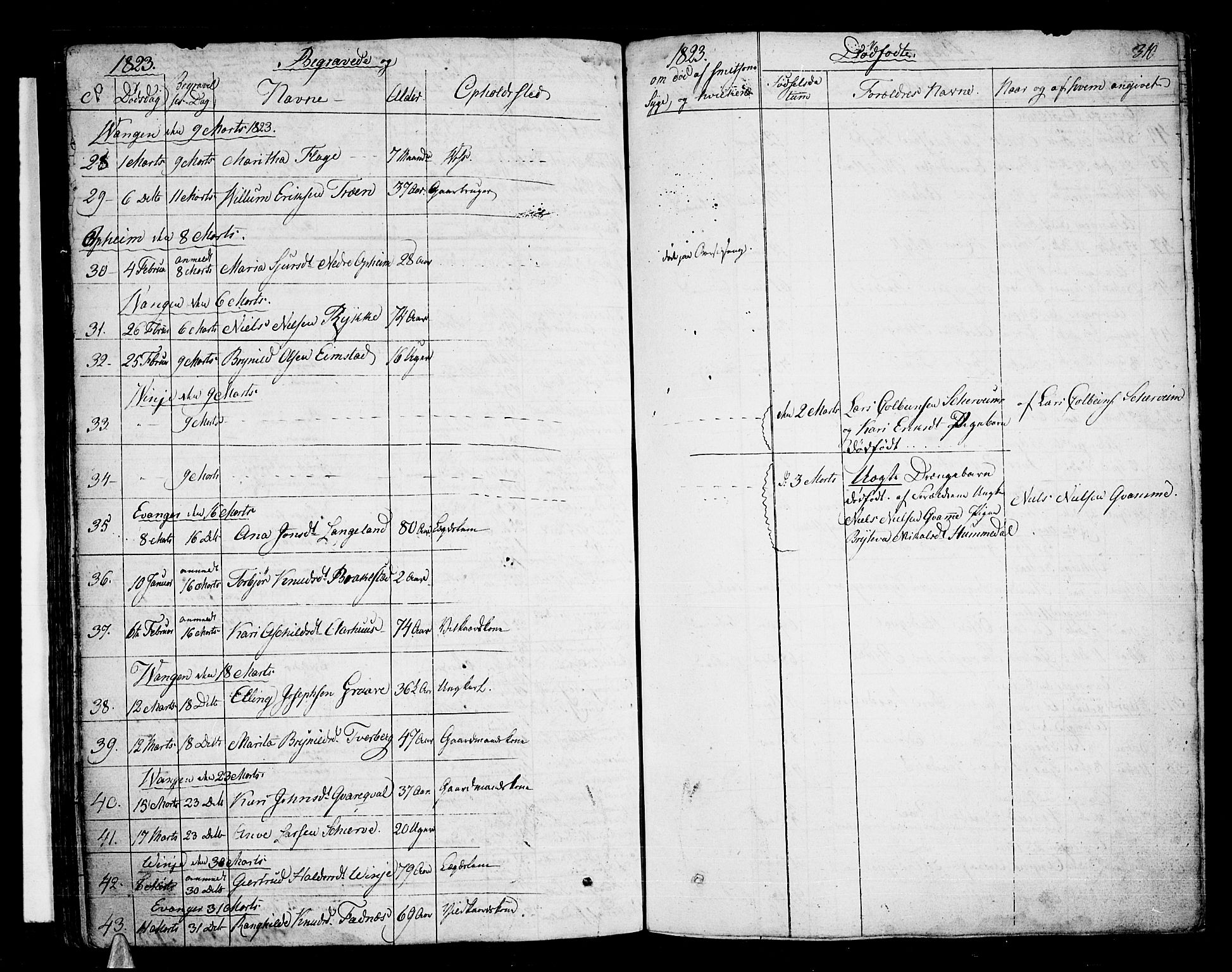 Voss sokneprestembete, SAB/A-79001/H/Haa: Parish register (official) no. A 12, 1823-1837, p. 310