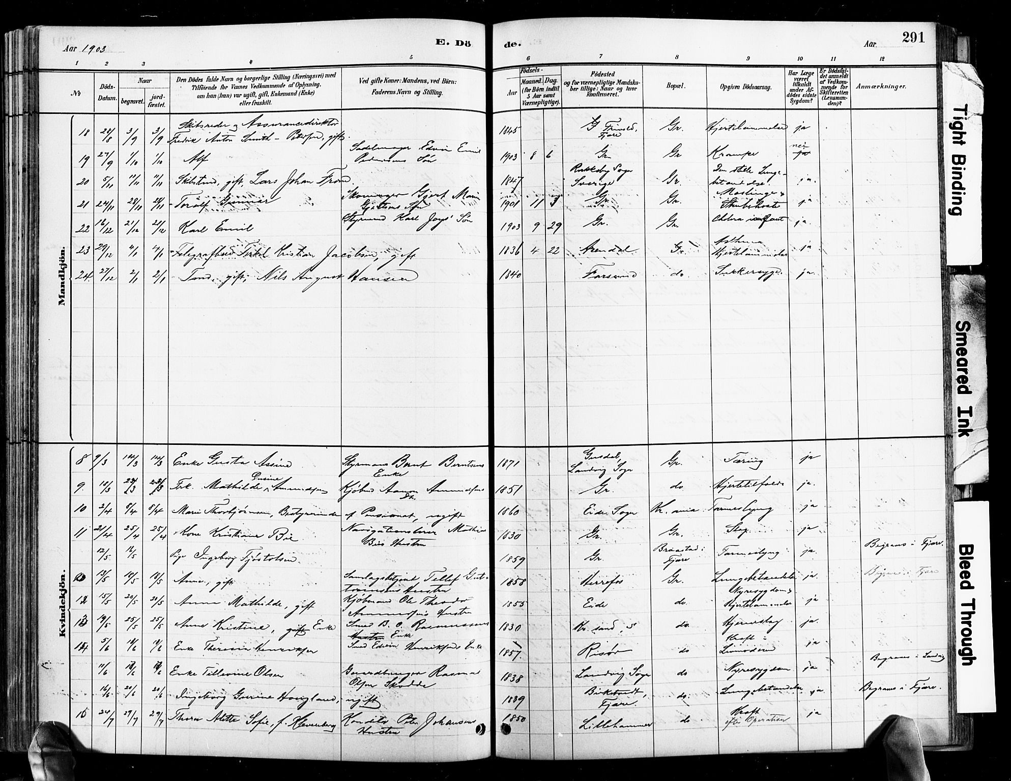 Grimstad sokneprestkontor, AV/SAK-1111-0017/F/Fb/L0001: Parish register (copy) no. B 1, 1881-1922, p. 291