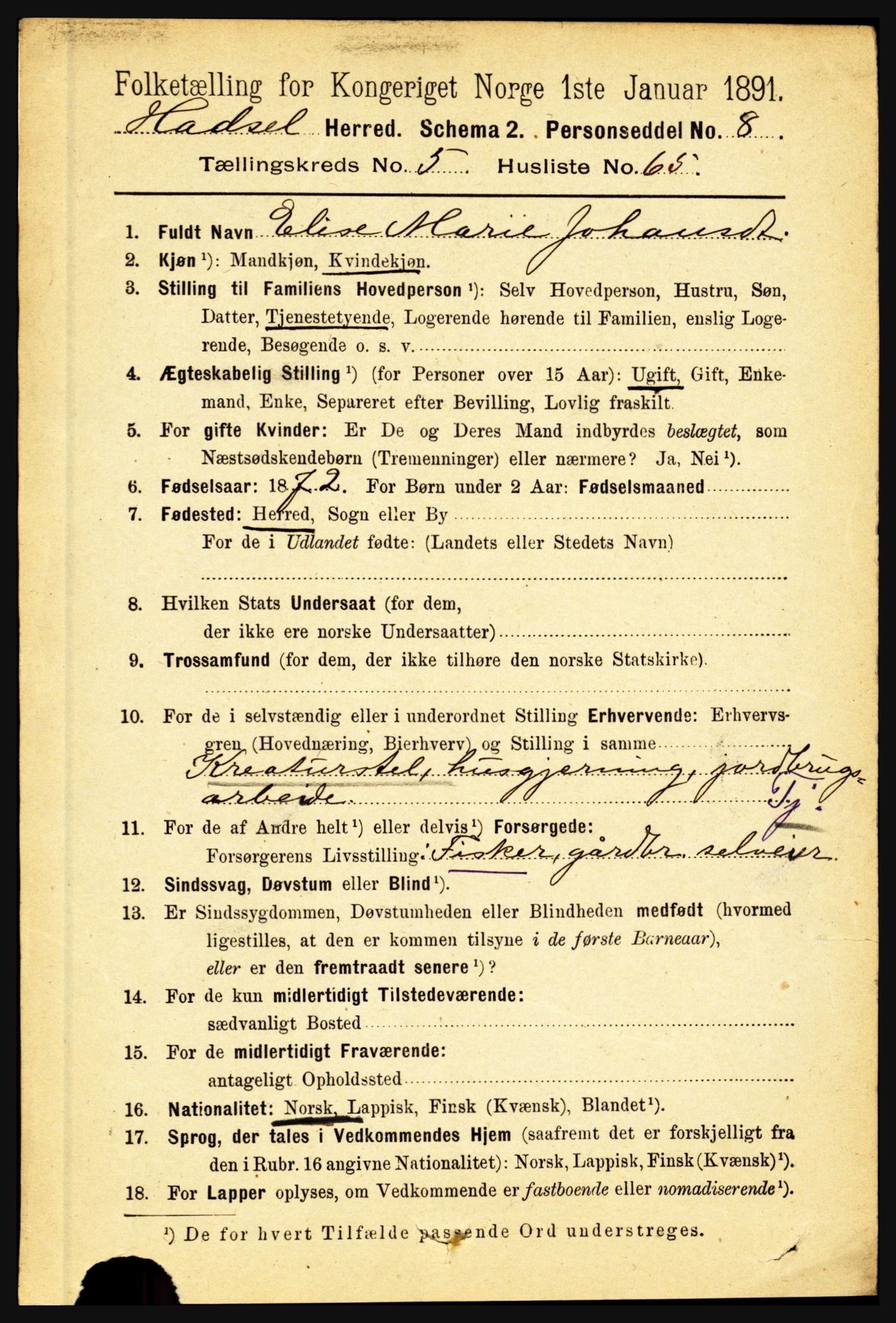 RA, 1891 census for 1866 Hadsel, 1891, p. 2576