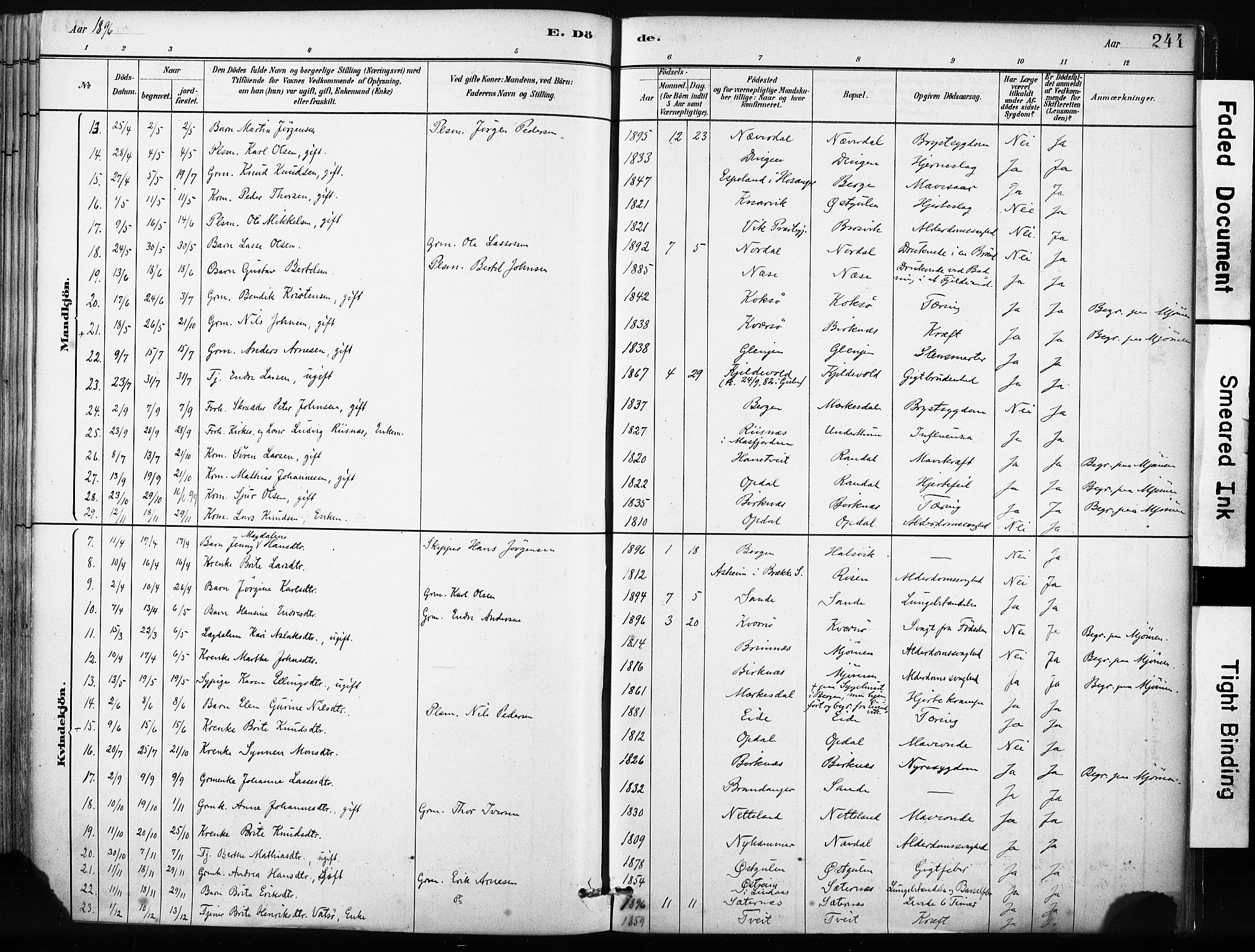 Gulen sokneprestembete, SAB/A-80201/H/Haa/Haab/L0001: Parish register (official) no. B 1, 1881-1905, p. 244