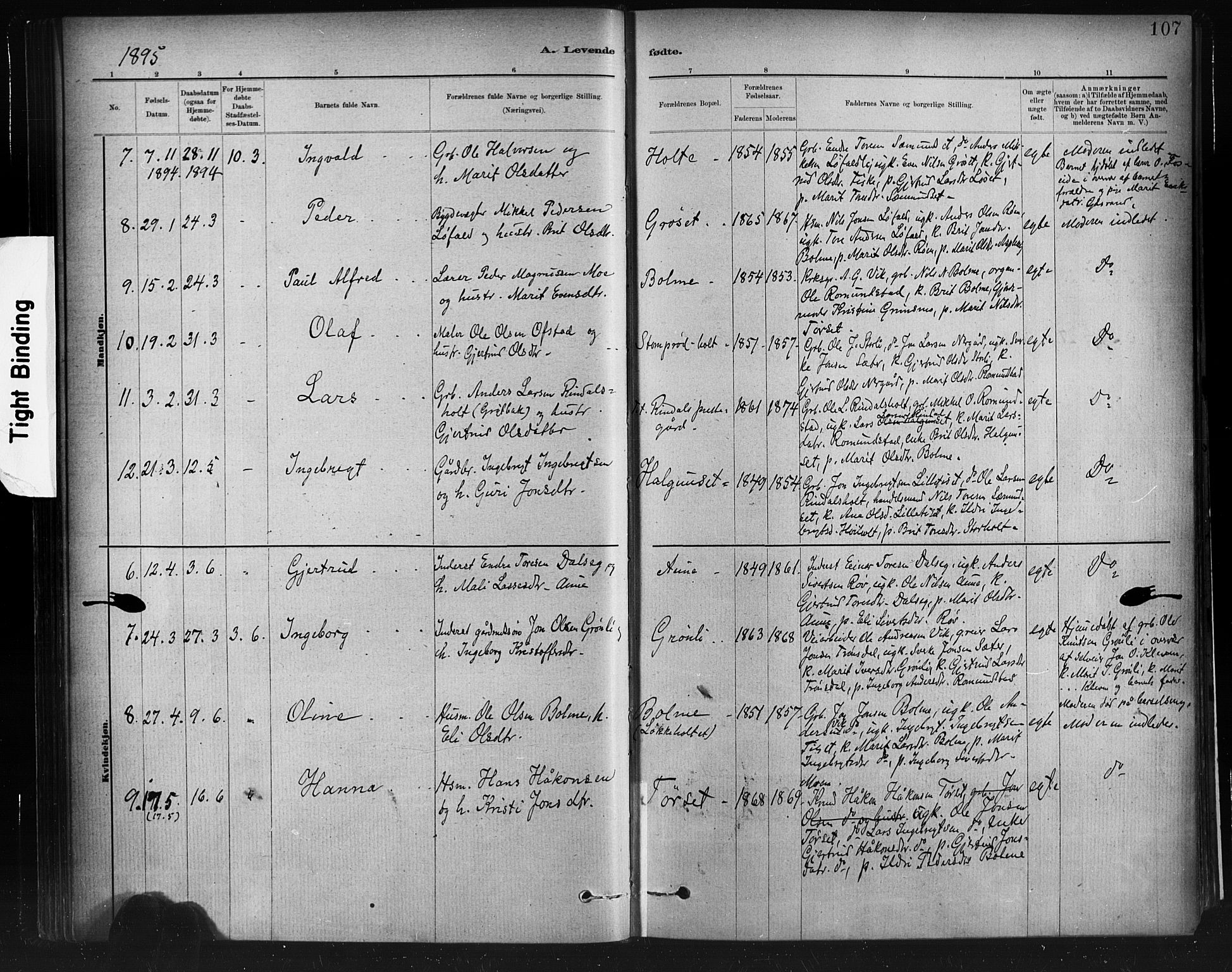 Ministerialprotokoller, klokkerbøker og fødselsregistre - Møre og Romsdal, SAT/A-1454/598/L1069: Parish register (official) no. 598A03, 1882-1895, p. 107