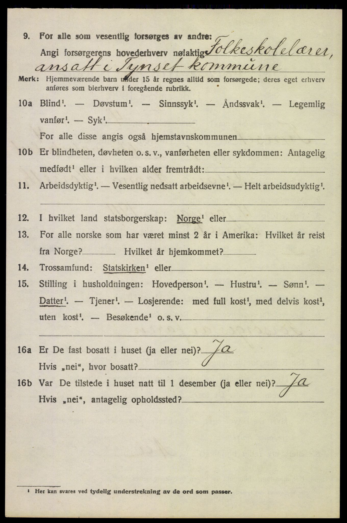 SAH, 1920 census for Tynset, 1920, p. 3183