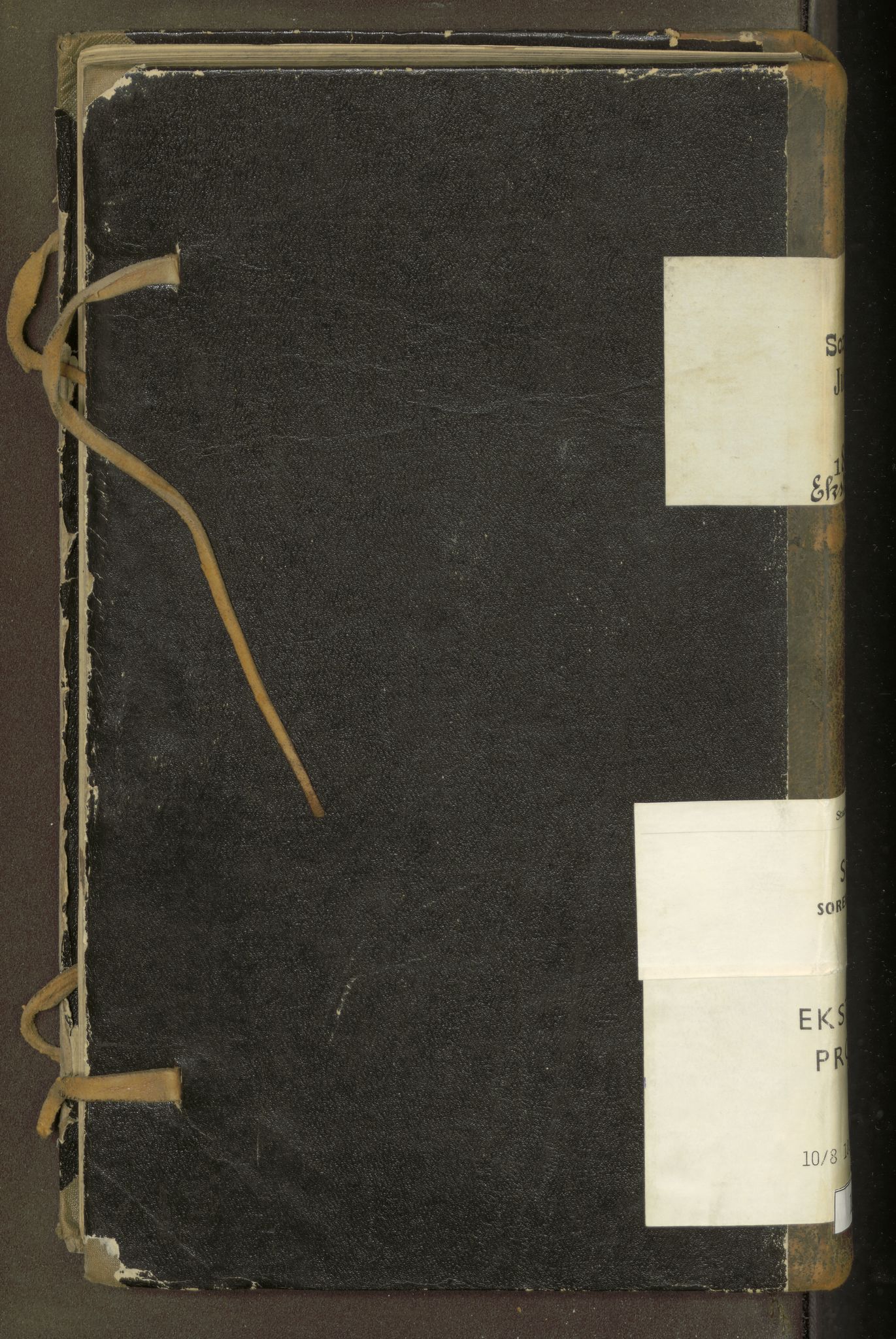 Salten sorenskriveri, SAT/A-4578/1/1/1B/L0014: Ekstrarettsprot. nr. 12, 1863-1868