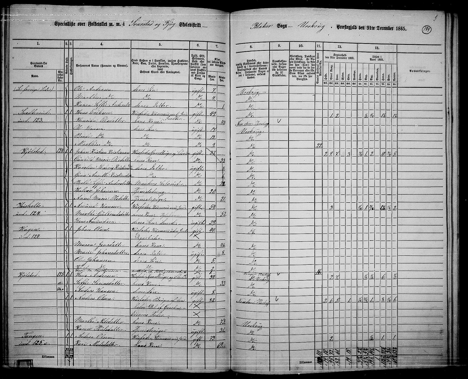 RA, 1865 census for Aurskog, 1865, p. 173