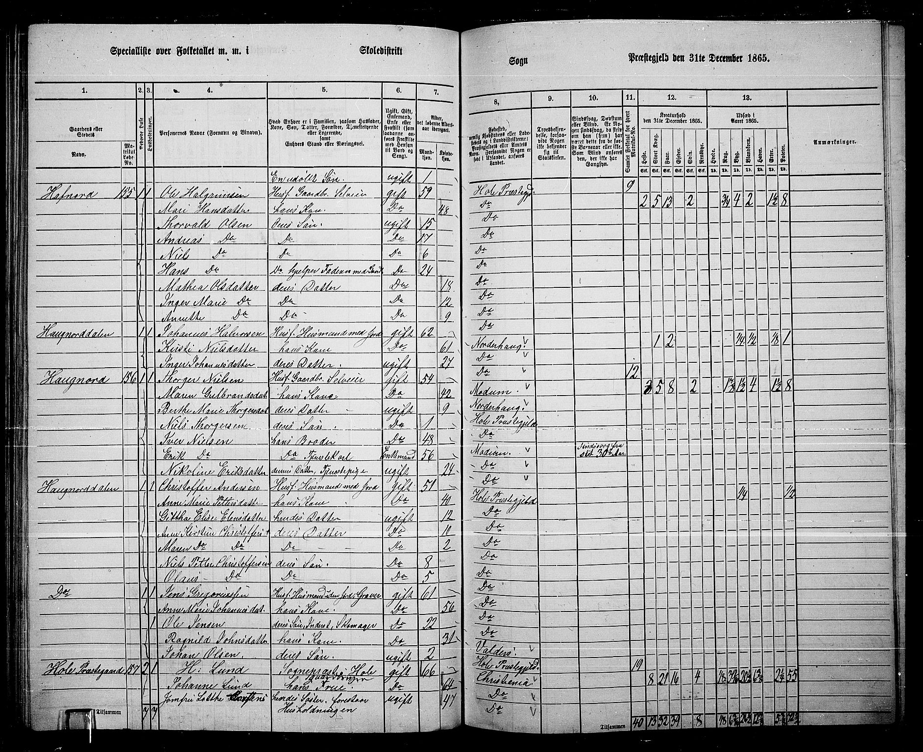 RA, 1865 census for Hole, 1865, p. 112