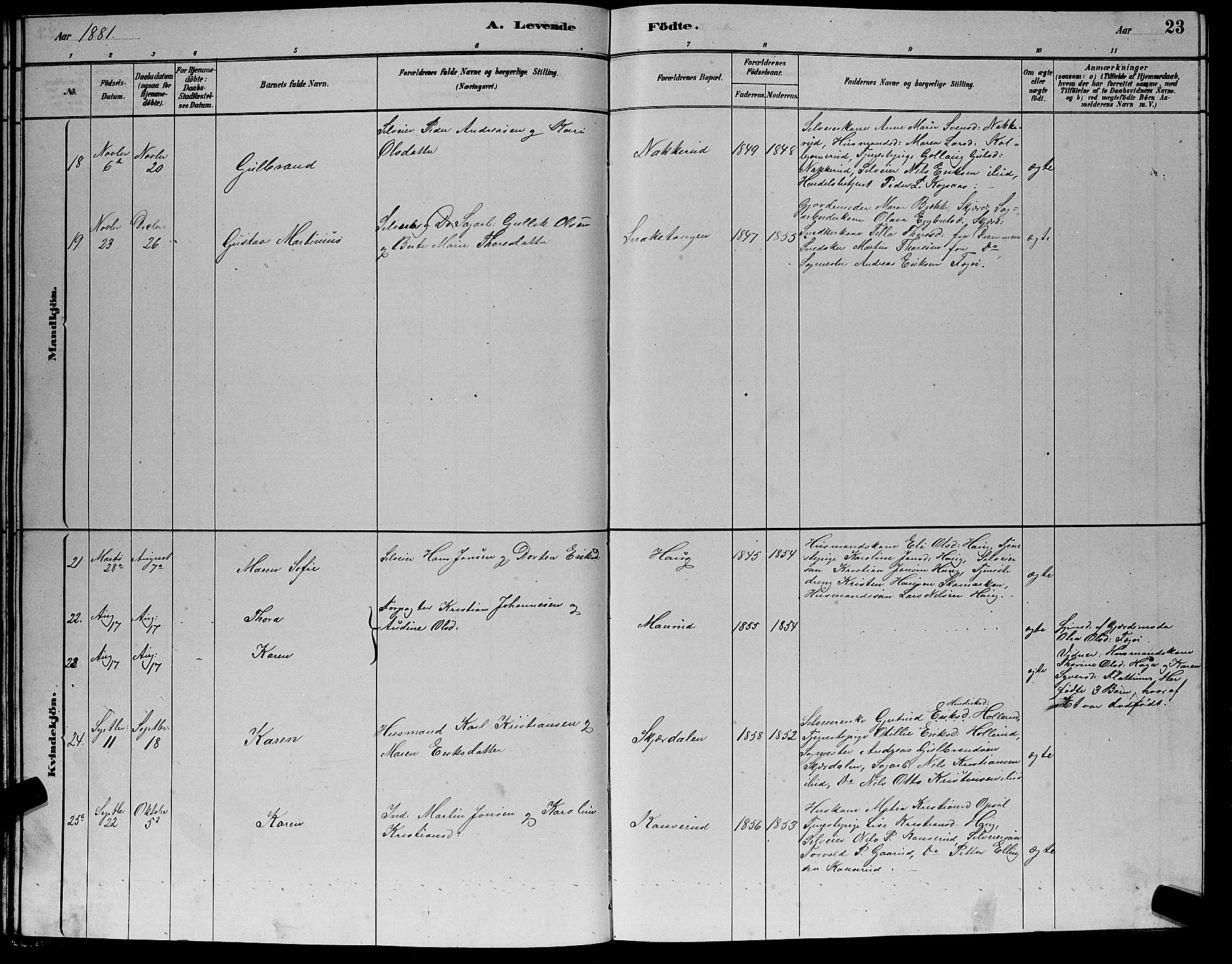 Hole kirkebøker, AV/SAKO-A-228/G/Gb/L0002: Parish register (copy) no. II 2, 1878-1889, p. 23